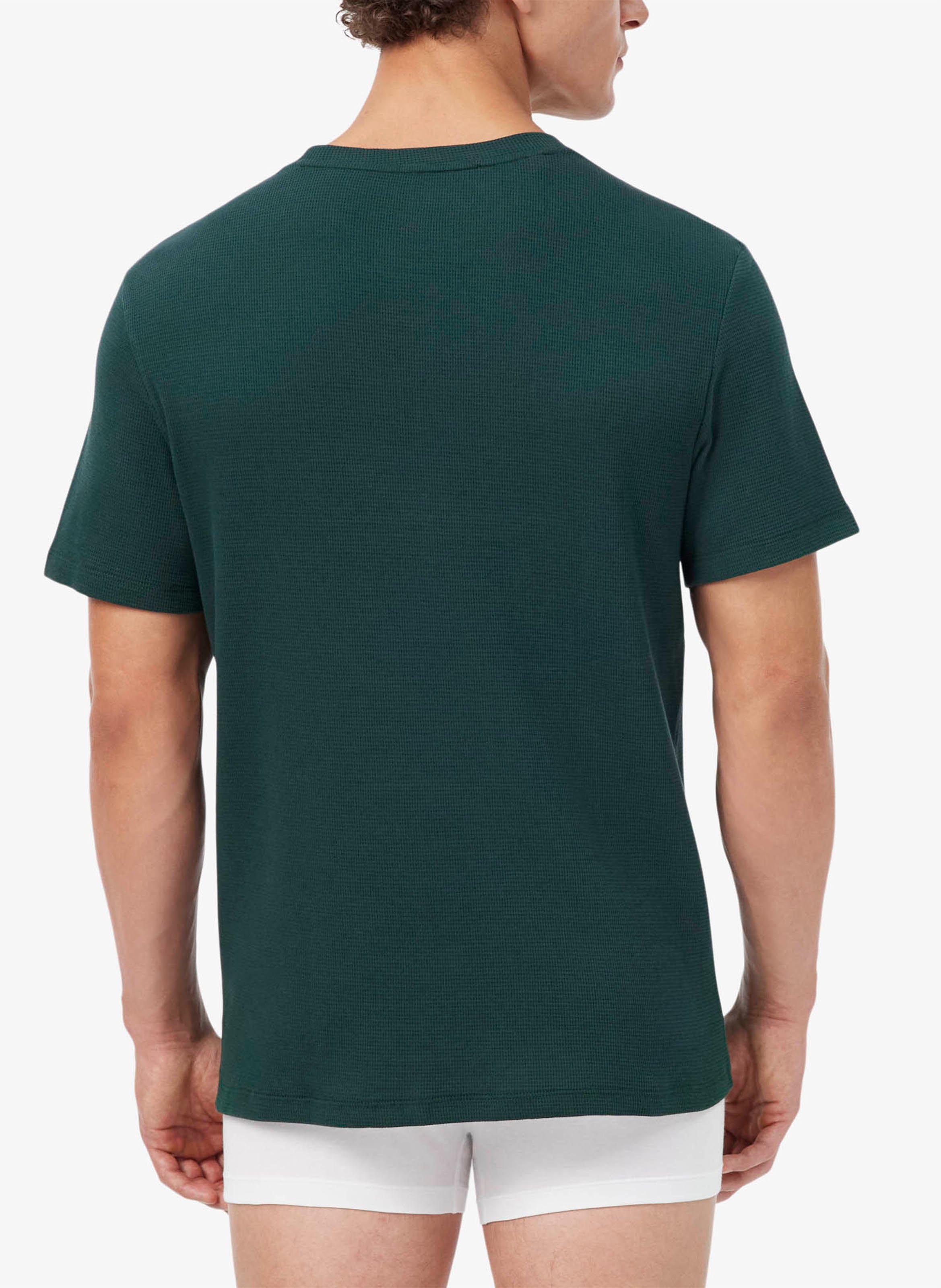 Embossed cotton t-shirt LACOSTE Green