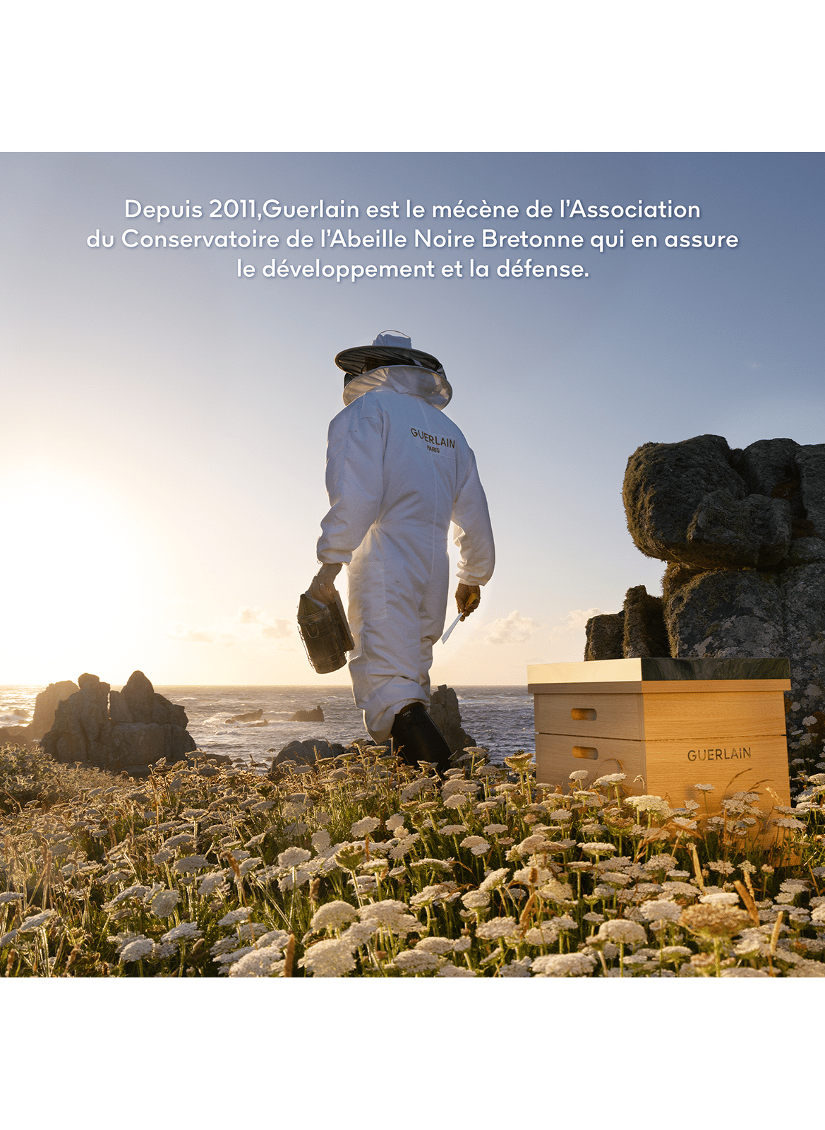 Programm Anti-Aging Jugendreparatur
Das Double R Renew & Repair Advanced Serum GUERLAIN No color