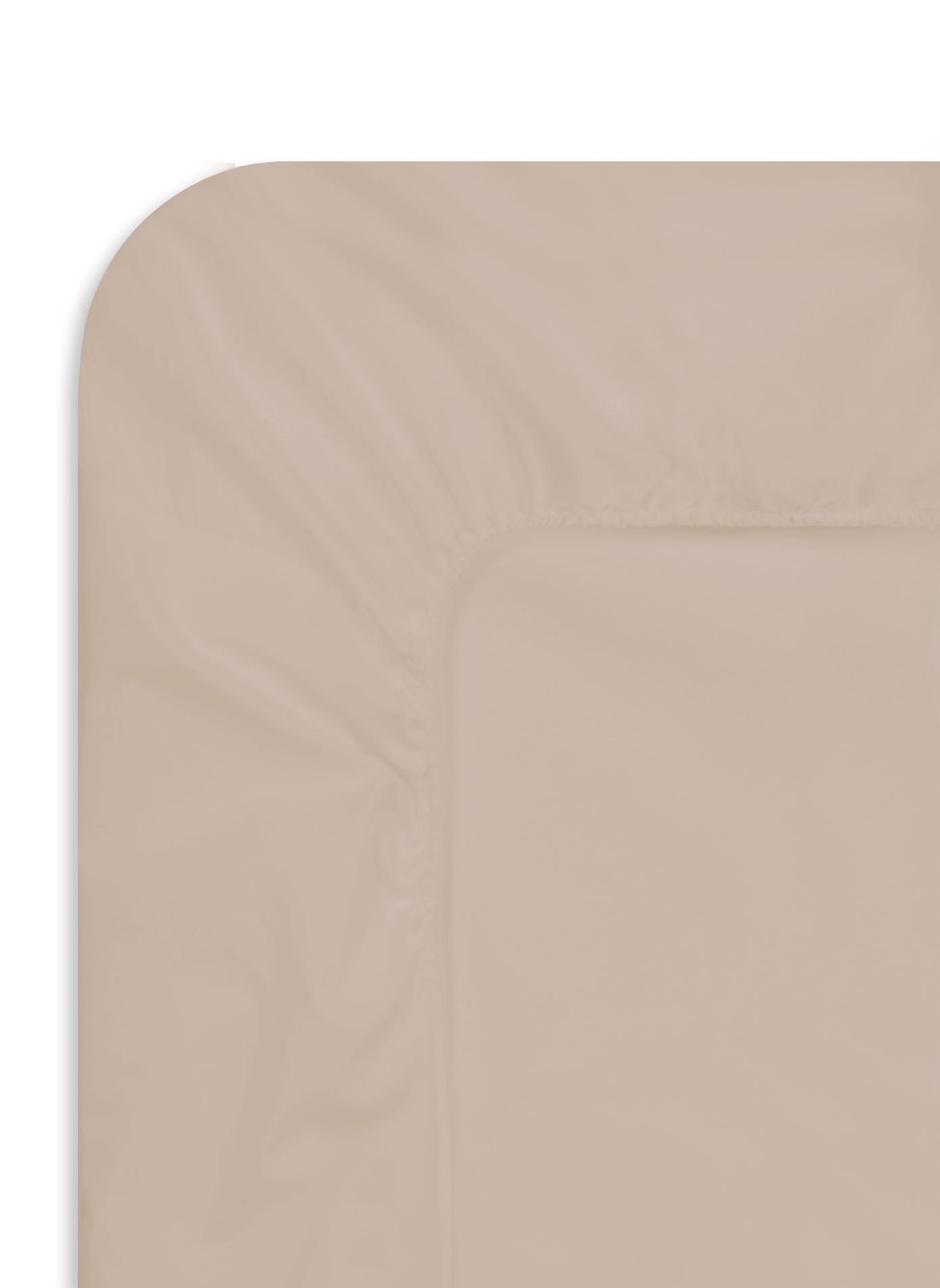 Cotton fitted sheet AU PRINTEMPS PARIS MAISON Beige
