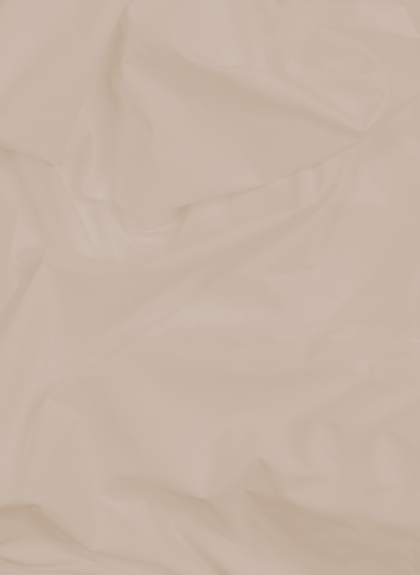 Cotton fitted sheet AU PRINTEMPS PARIS MAISON Beige