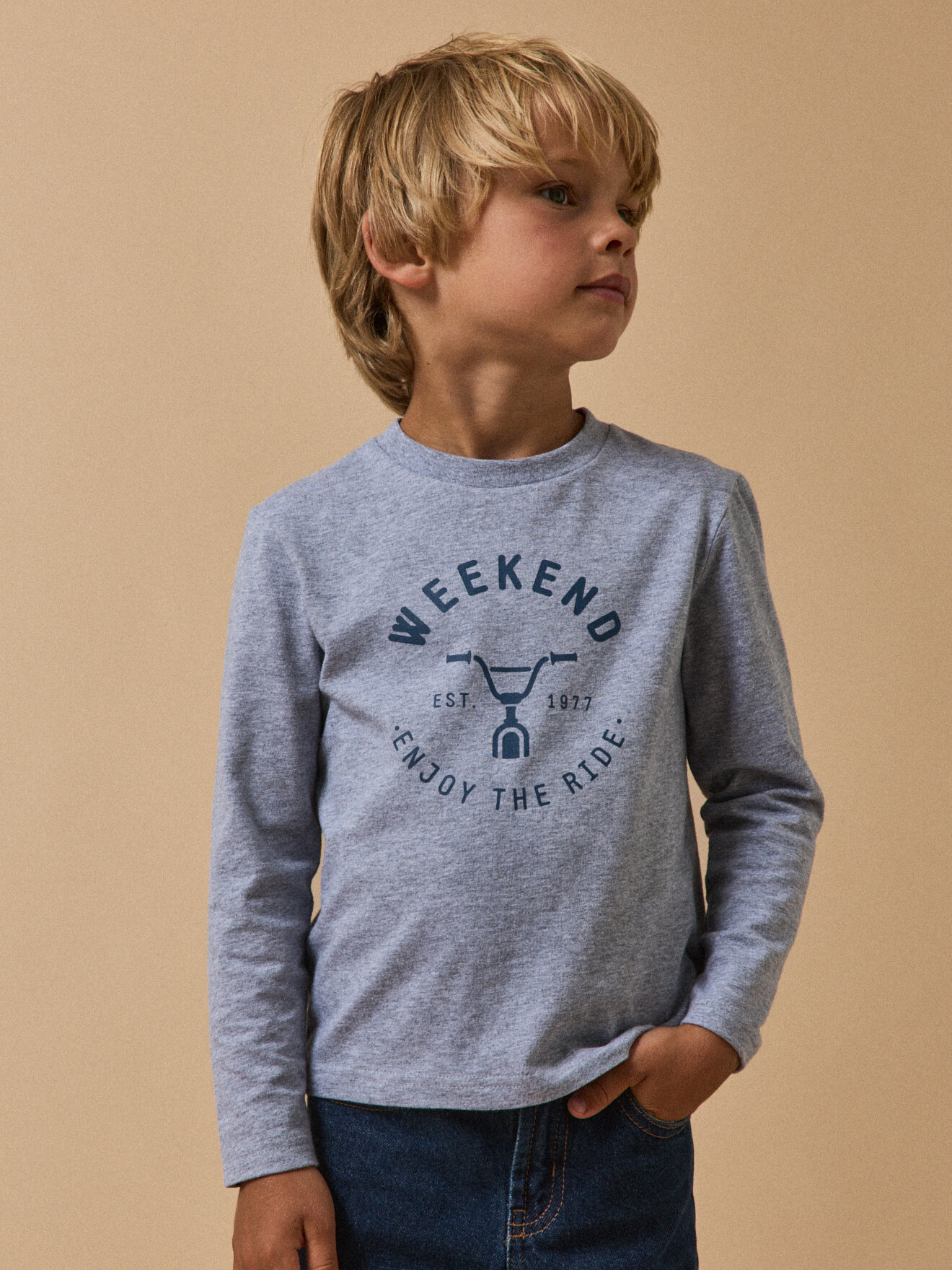 Organic cotton printed t-shirt CYRILLUS Grey