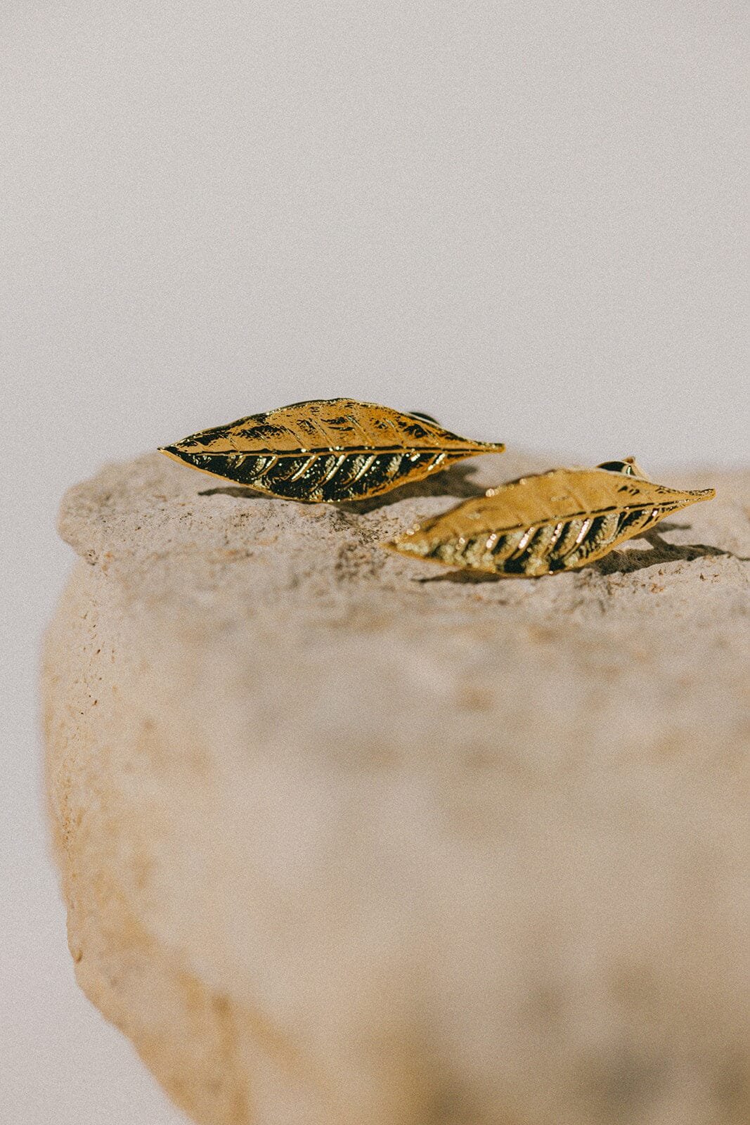 Gold-plated leaf stud earrings Golden