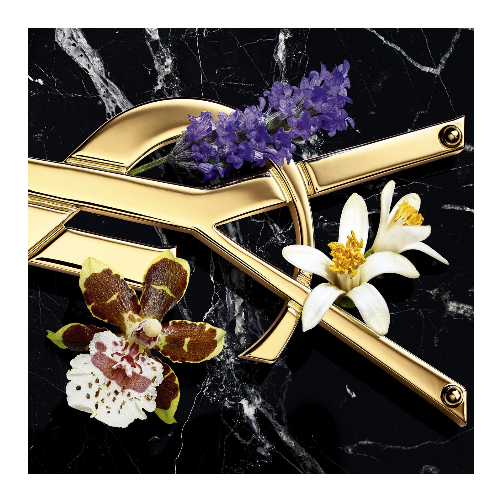 Libre Eau de Parfum Intense YVES SAINT LAURENT No color