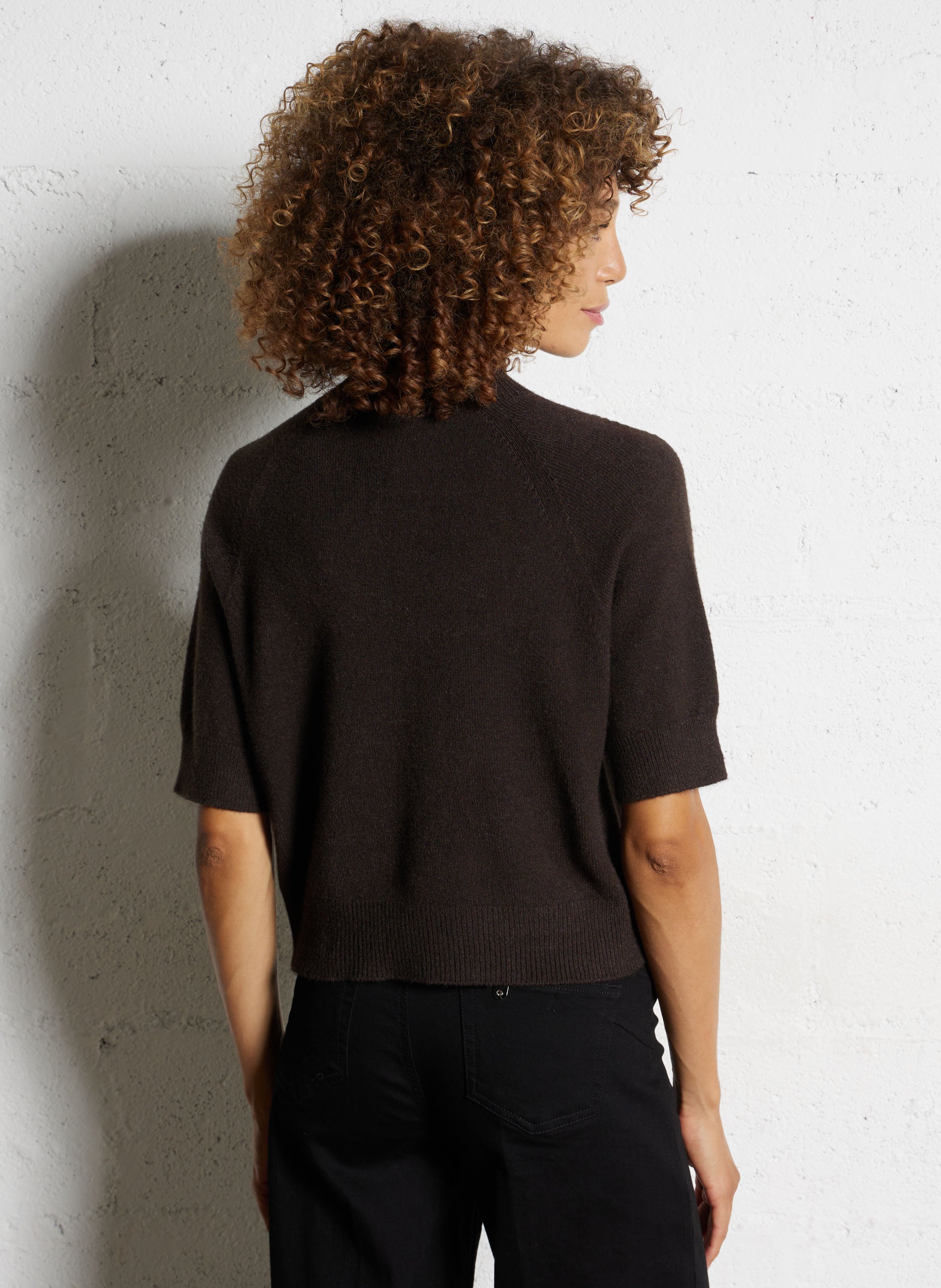 Pull col rond  IMPERIAL Marron