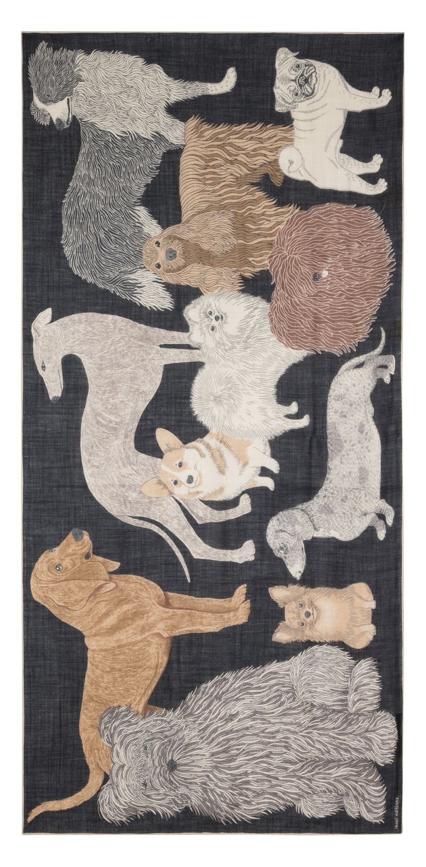 Schultertuch aus Wolle mit Print INOUI EDITIONS Schwarz