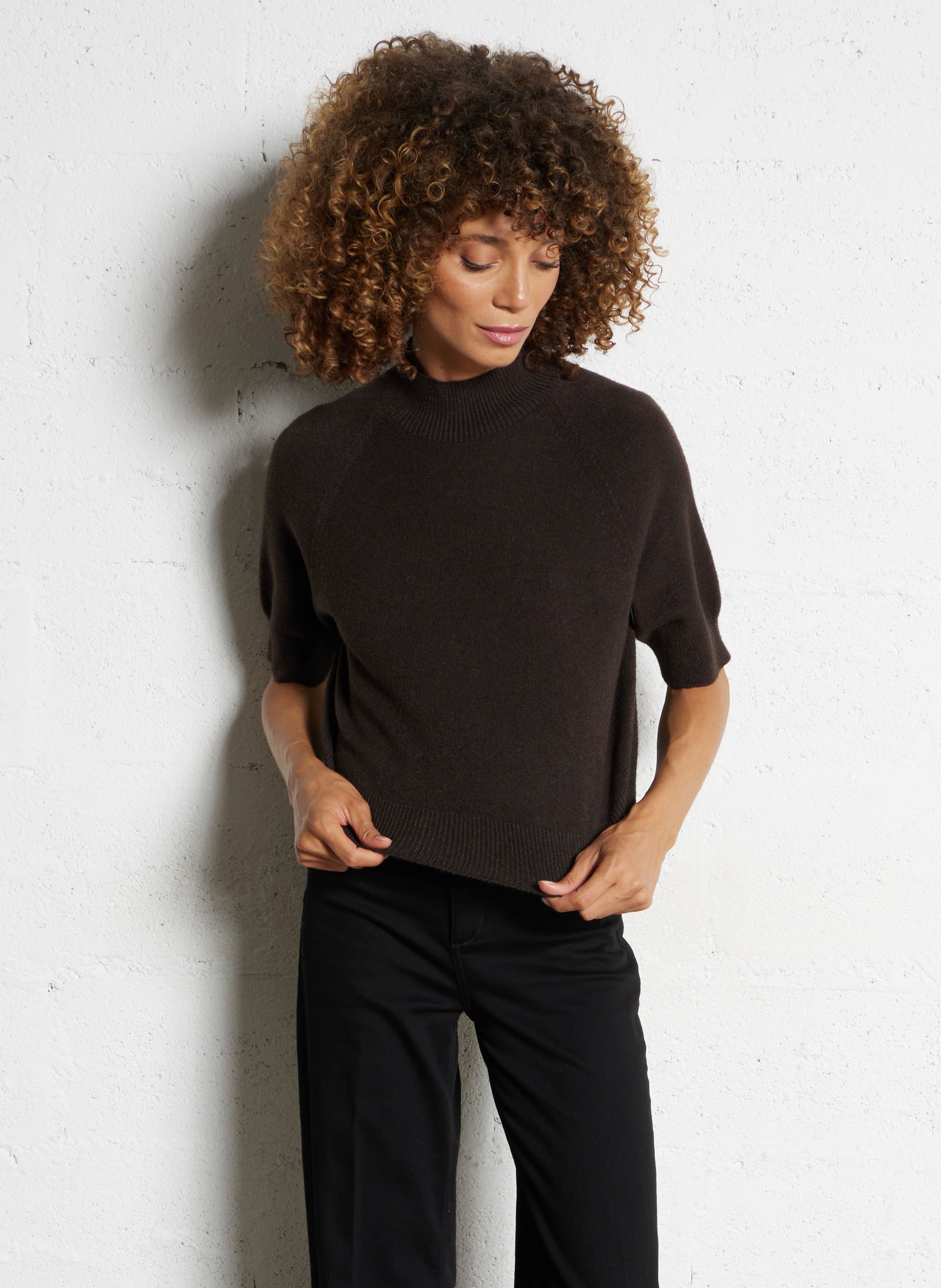 Pull col rond  IMPERIAL Marron