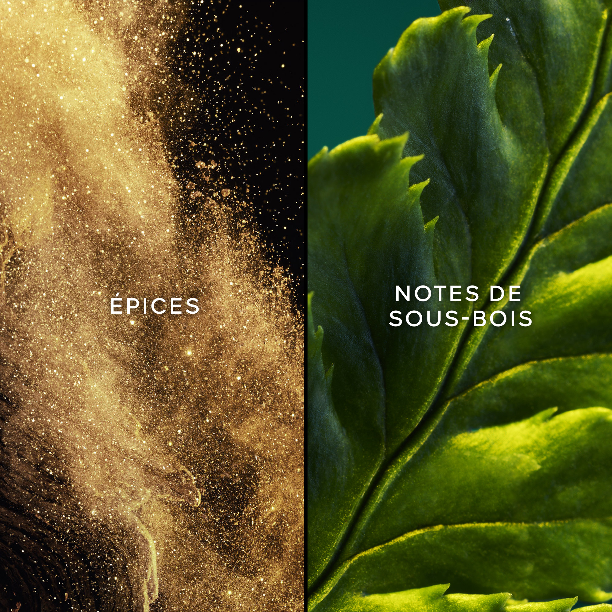 Vol de Nuit - Eau de Toilette No color