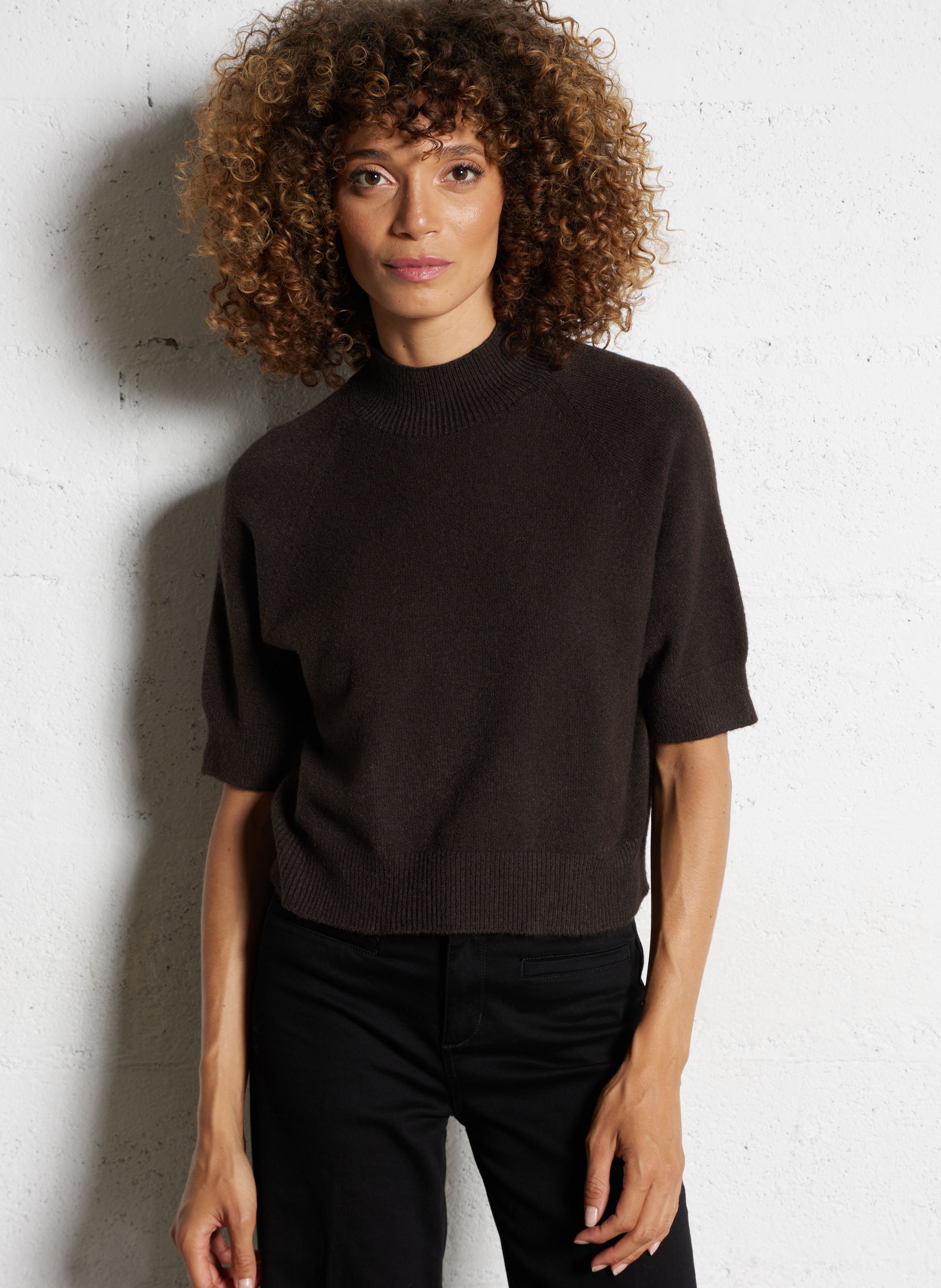 Pull col rond  IMPERIAL Marron