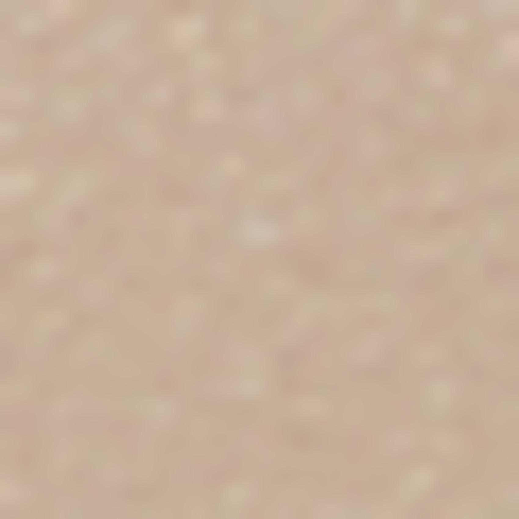 Travel backpack Beige