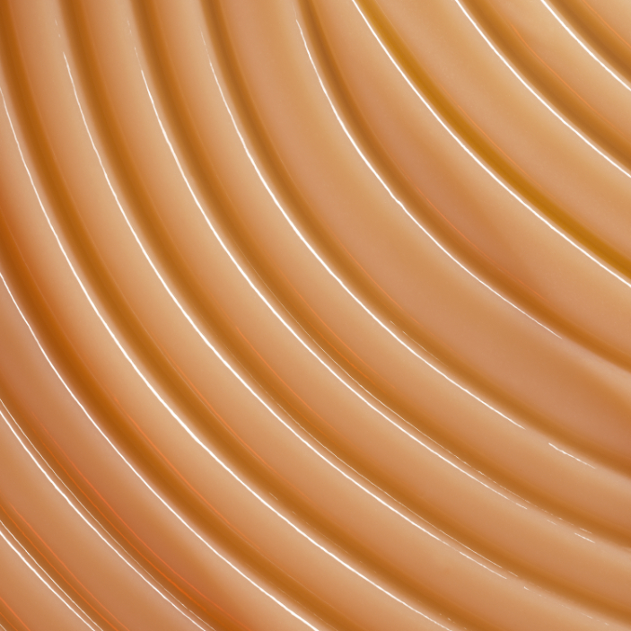 Crème anti-âge d'exception YVES SAINT LAURENT No color