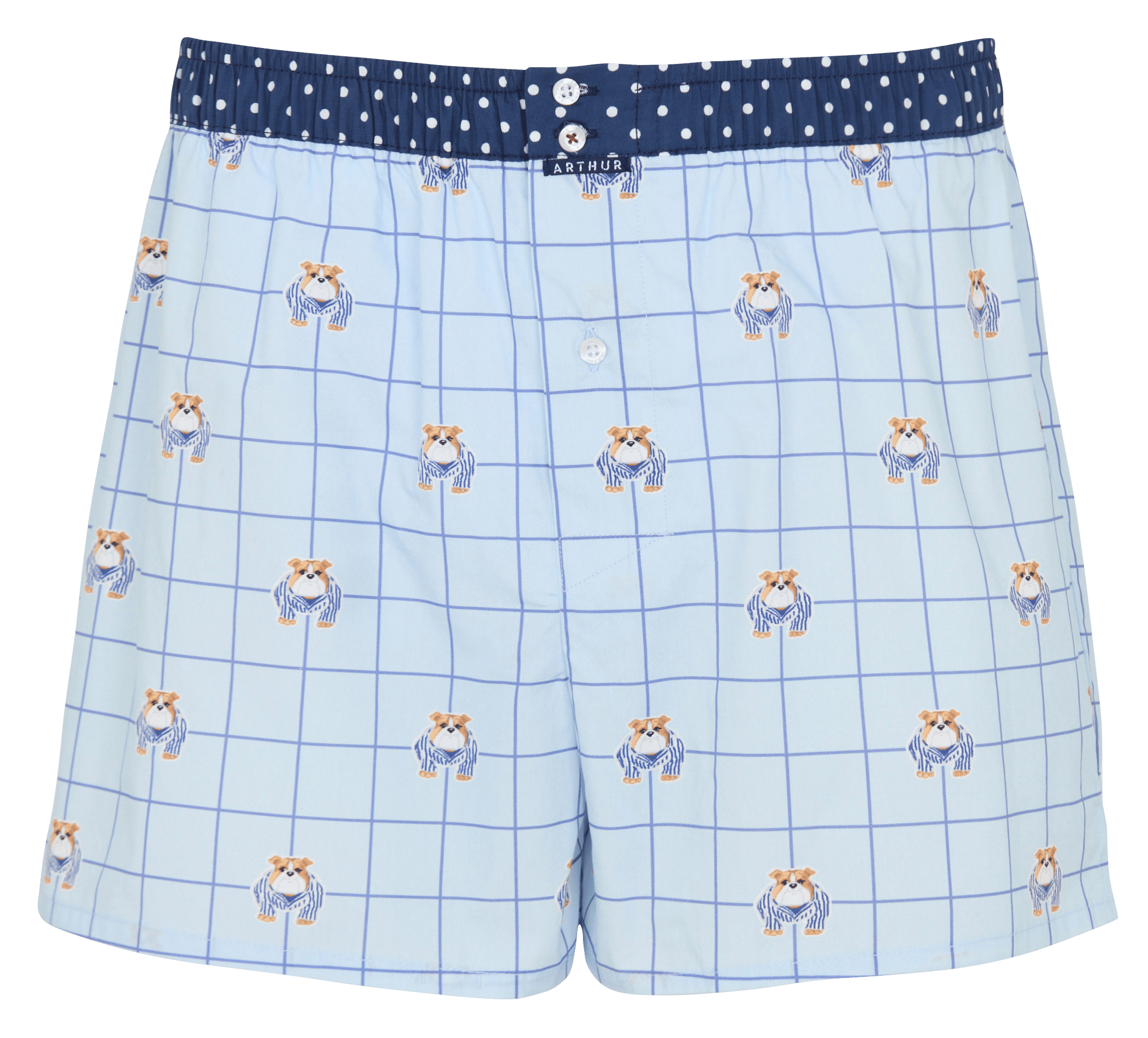 Baumwoll-Boxershorts ARTHUR Blau