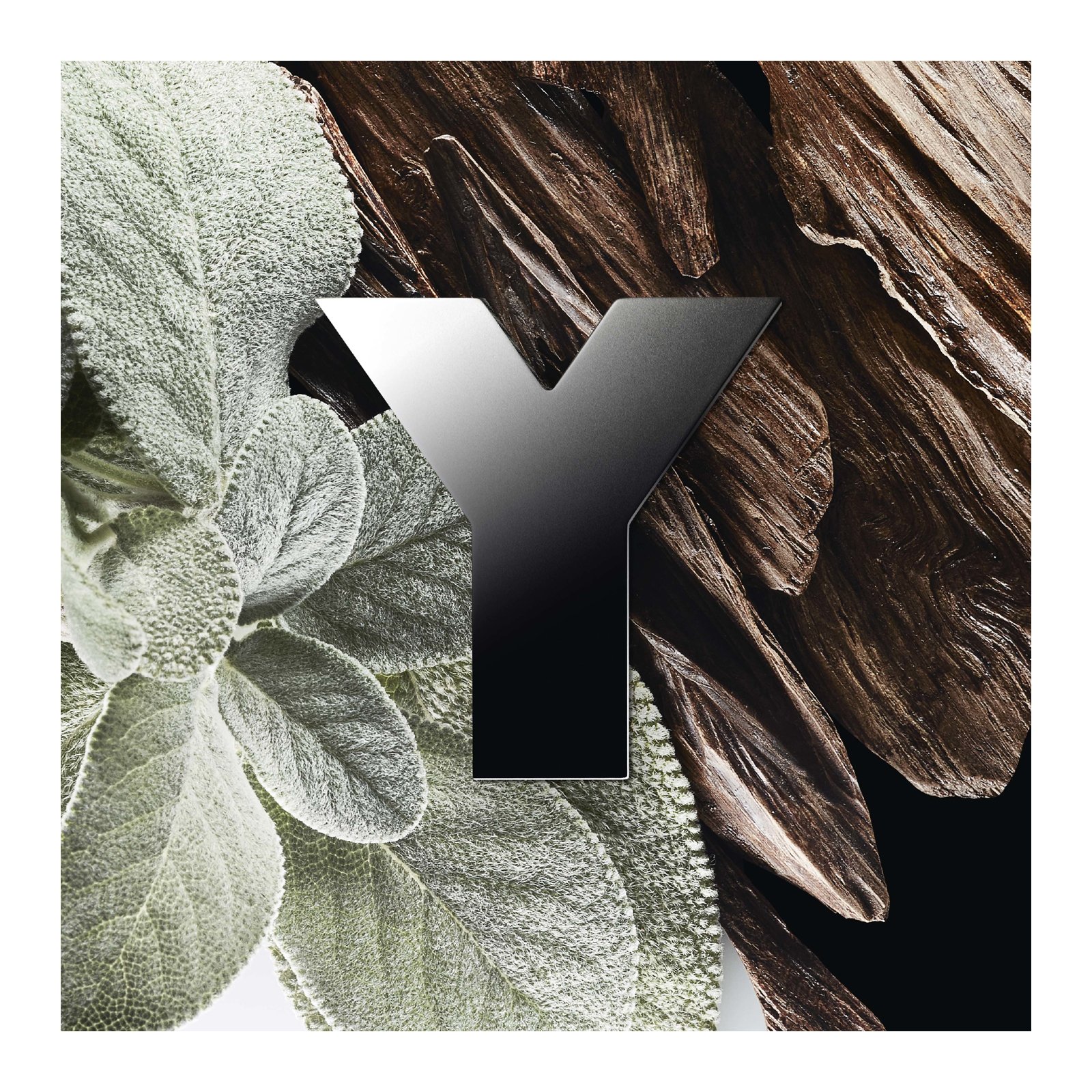 Y - Eau de Parfum Vaporisateur YVES SAINT LAURENT No color