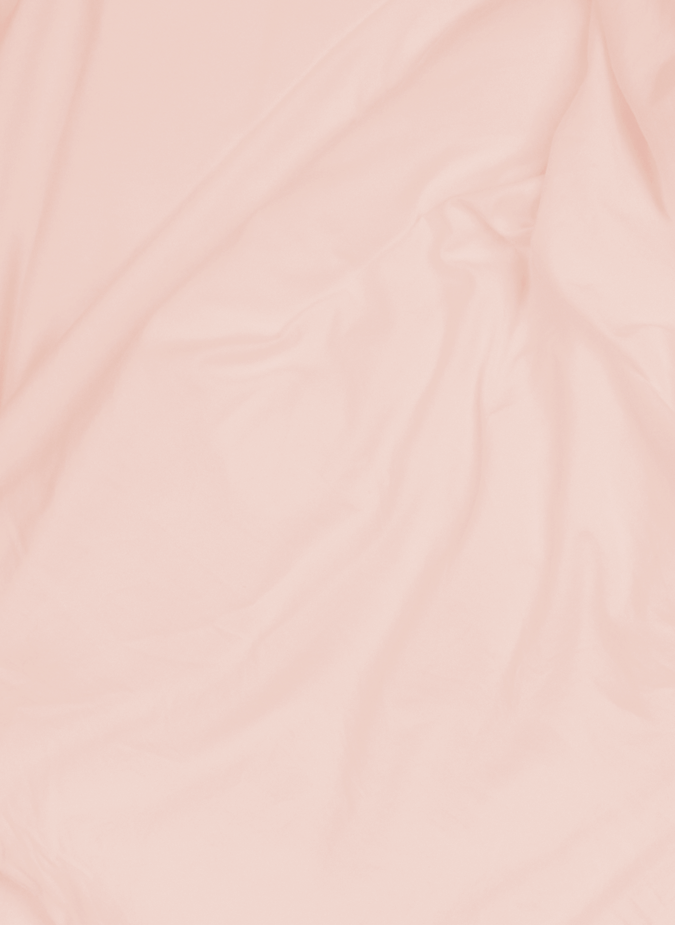 Drap housse en coton AU PRINTEMPS PARIS MAISON Rose