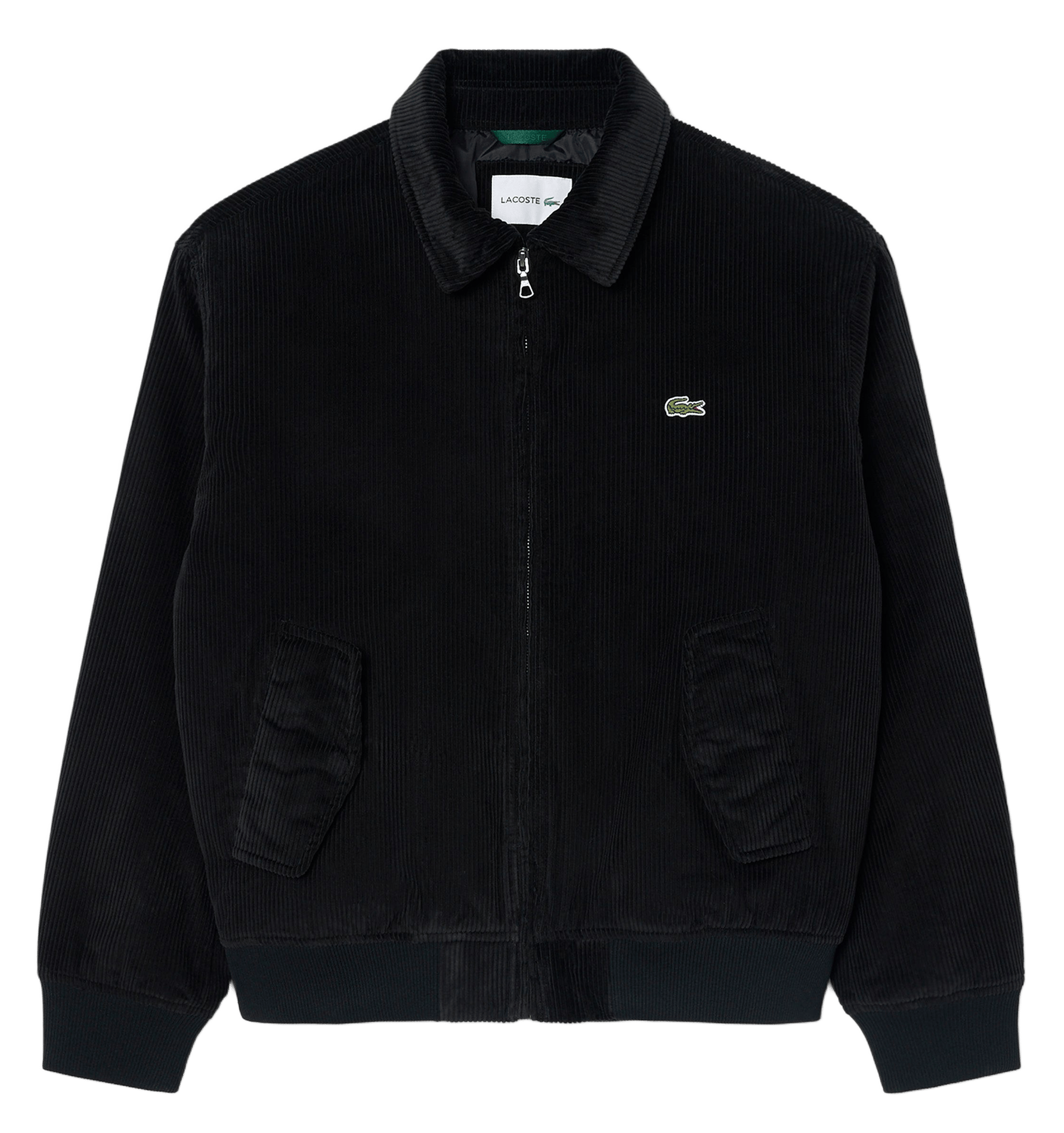 Straight bomber jacket with classic collar in ribbed velvet cotton. LACOSTE Black