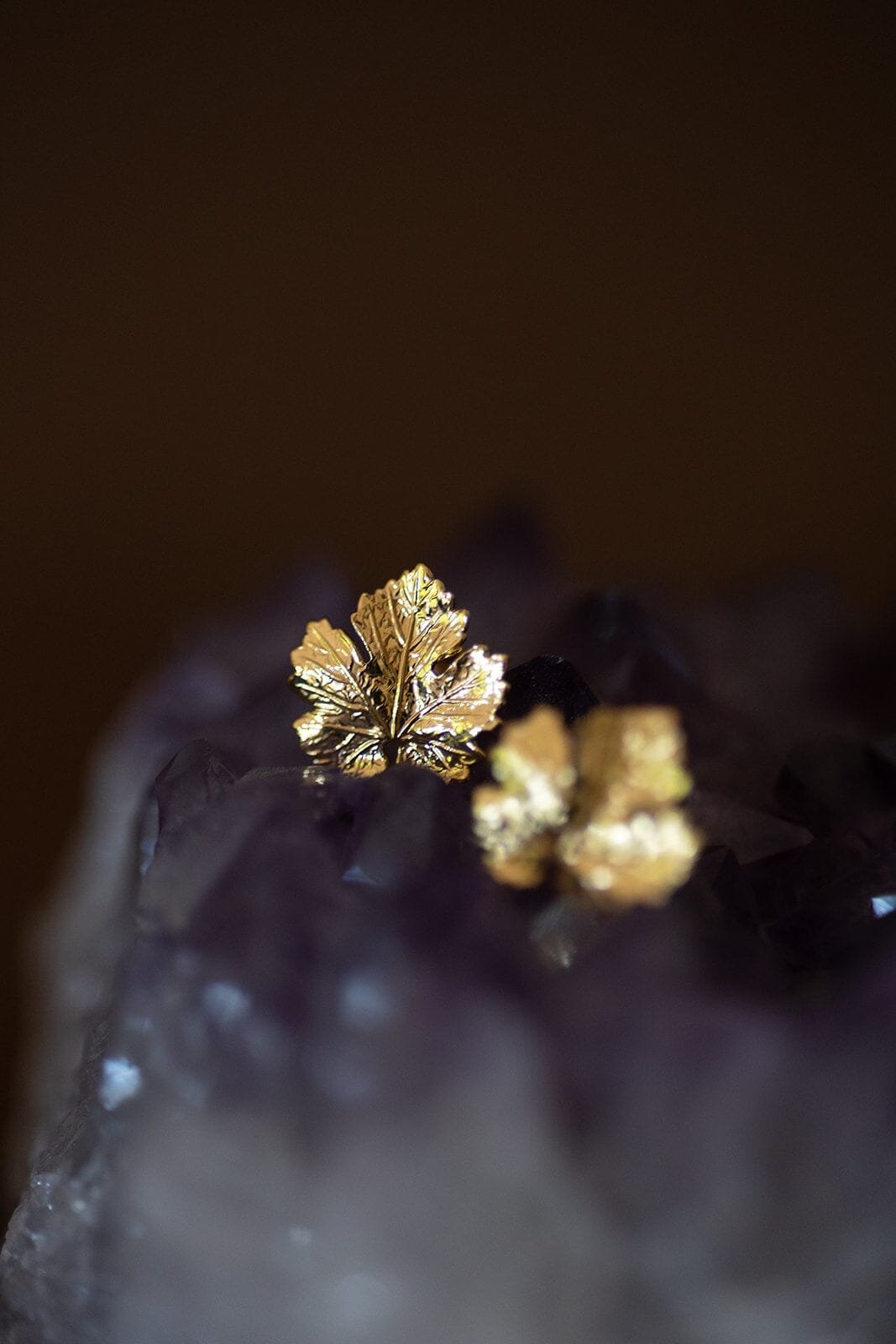 Silver-plated leaf stud earrings MONSIEUR SIMONE Golden