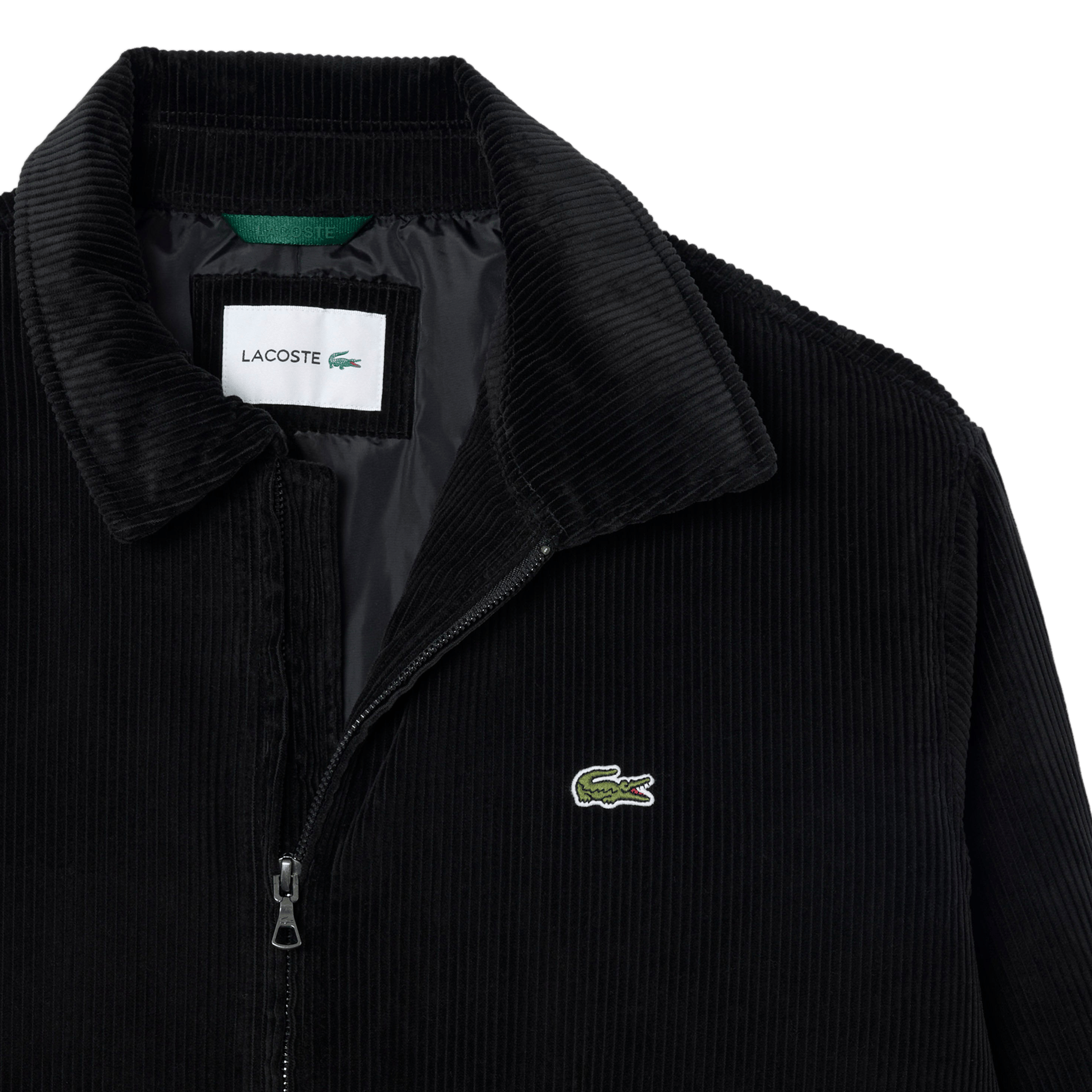Straight bomber jacket with classic collar in ribbed velvet cotton. LACOSTE Black