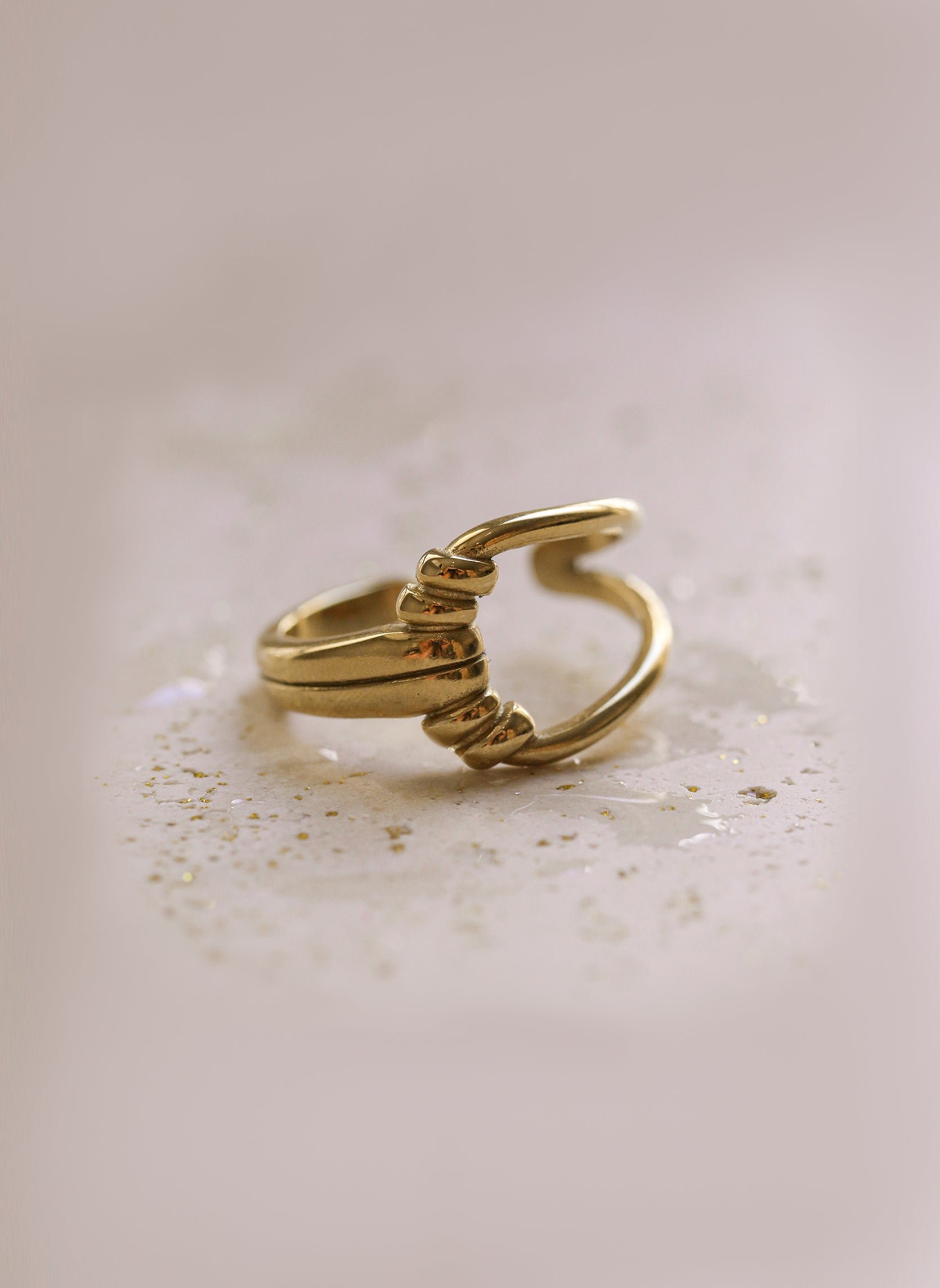 Wide agave ring AEC Paris Golden