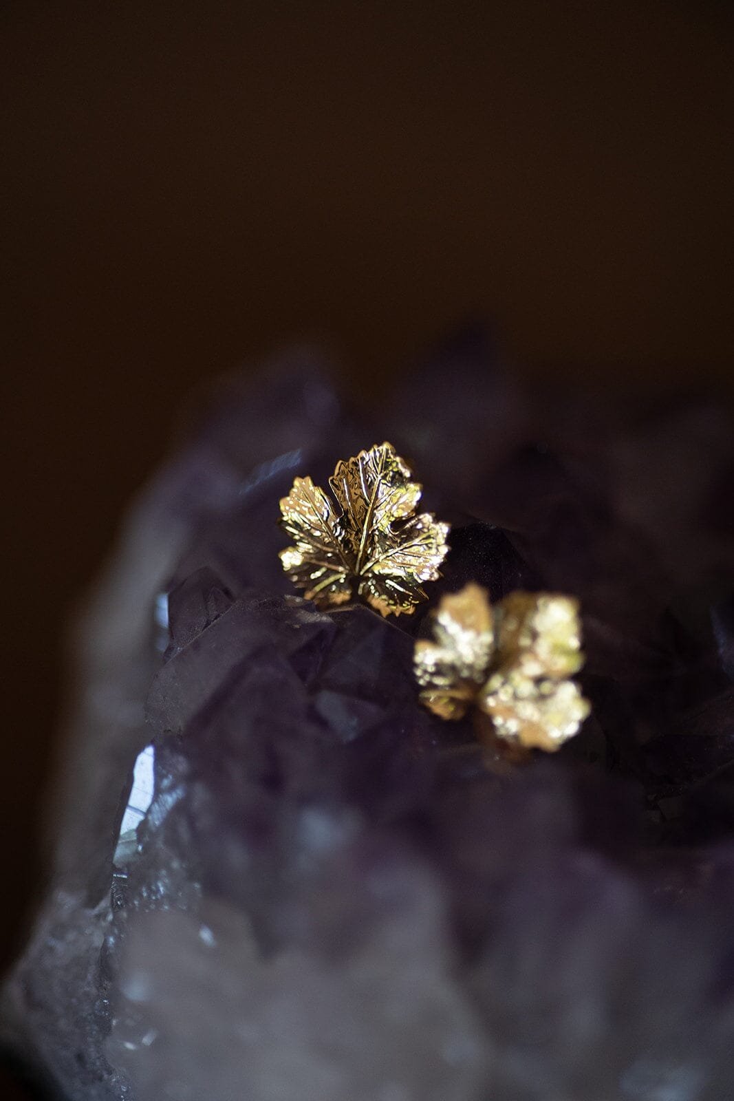 Silver-plated leaf stud earrings MONSIEUR SIMONE Golden