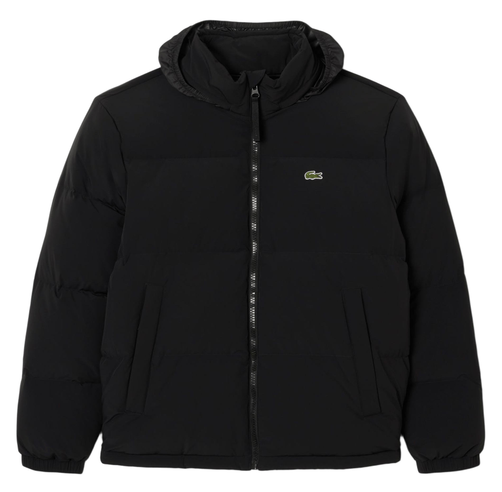 Straight quilted jacket with high collar and water-repellent hood LACOSTE Black