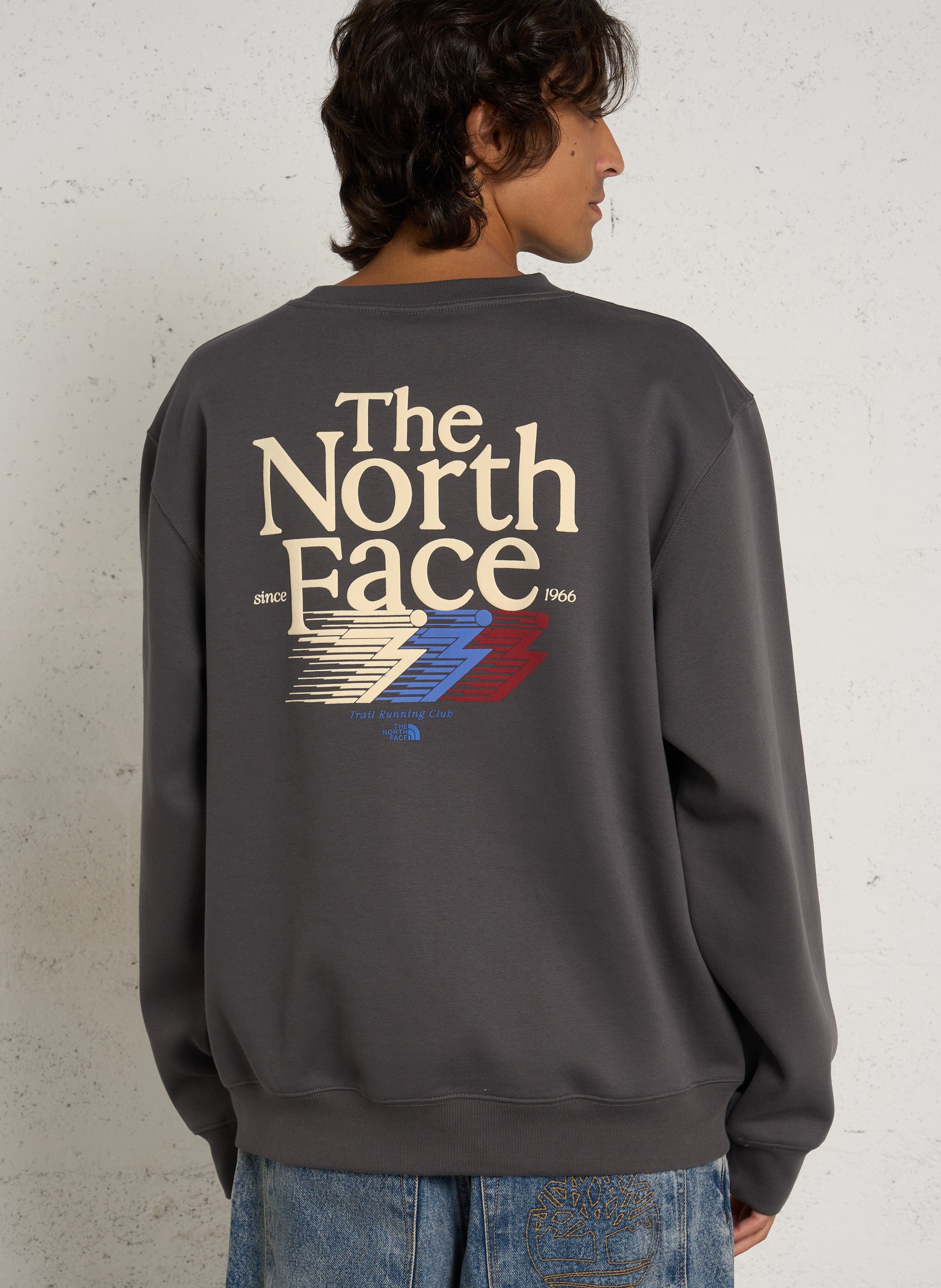 Straight round neck sweatshirt with screen print in blended cotton THE NORTH FACE Grey
