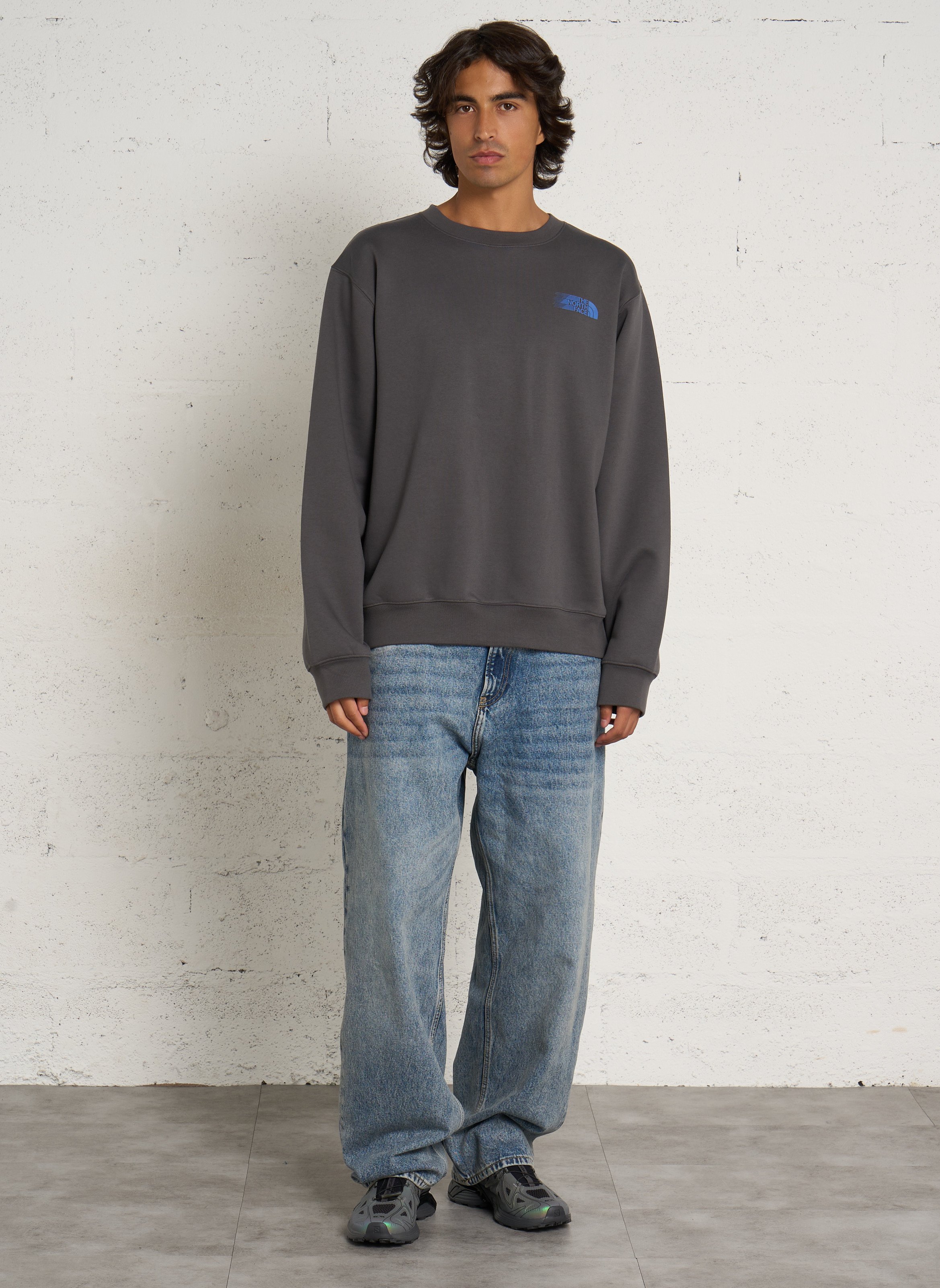 Straight round neck sweatshirt with screen print in blended cotton THE NORTH FACE Grey