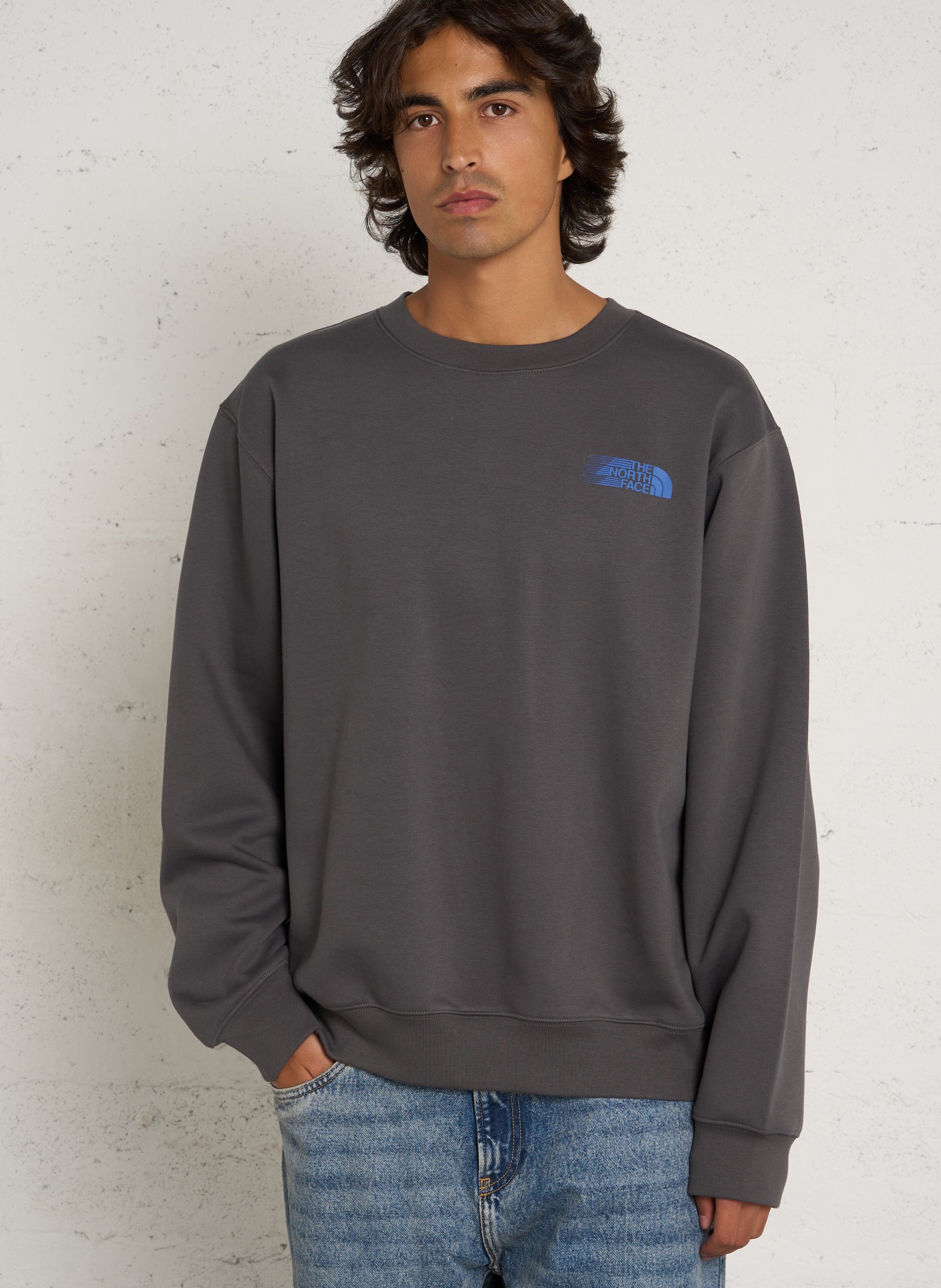 Straight round neck sweatshirt with screen print in blended cotton THE NORTH FACE Grey