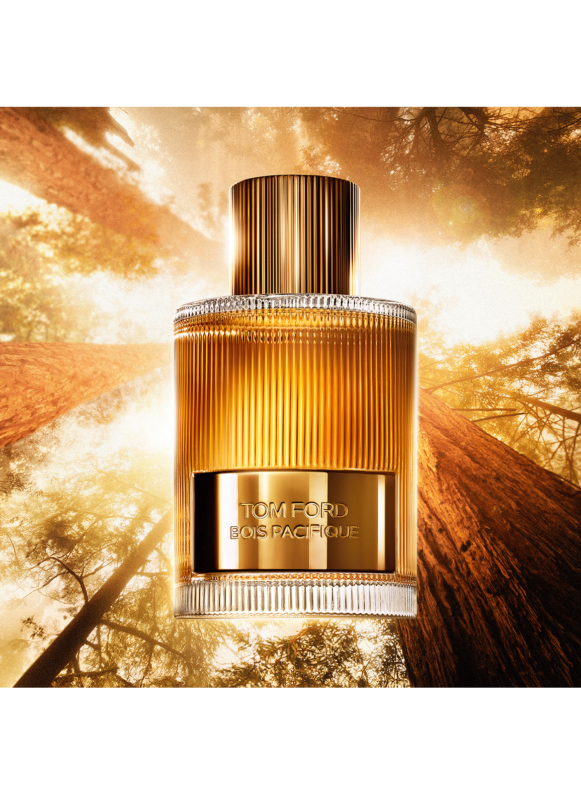 Pazifisches Holz - Eau de Parfum Set TOM FORD No color
