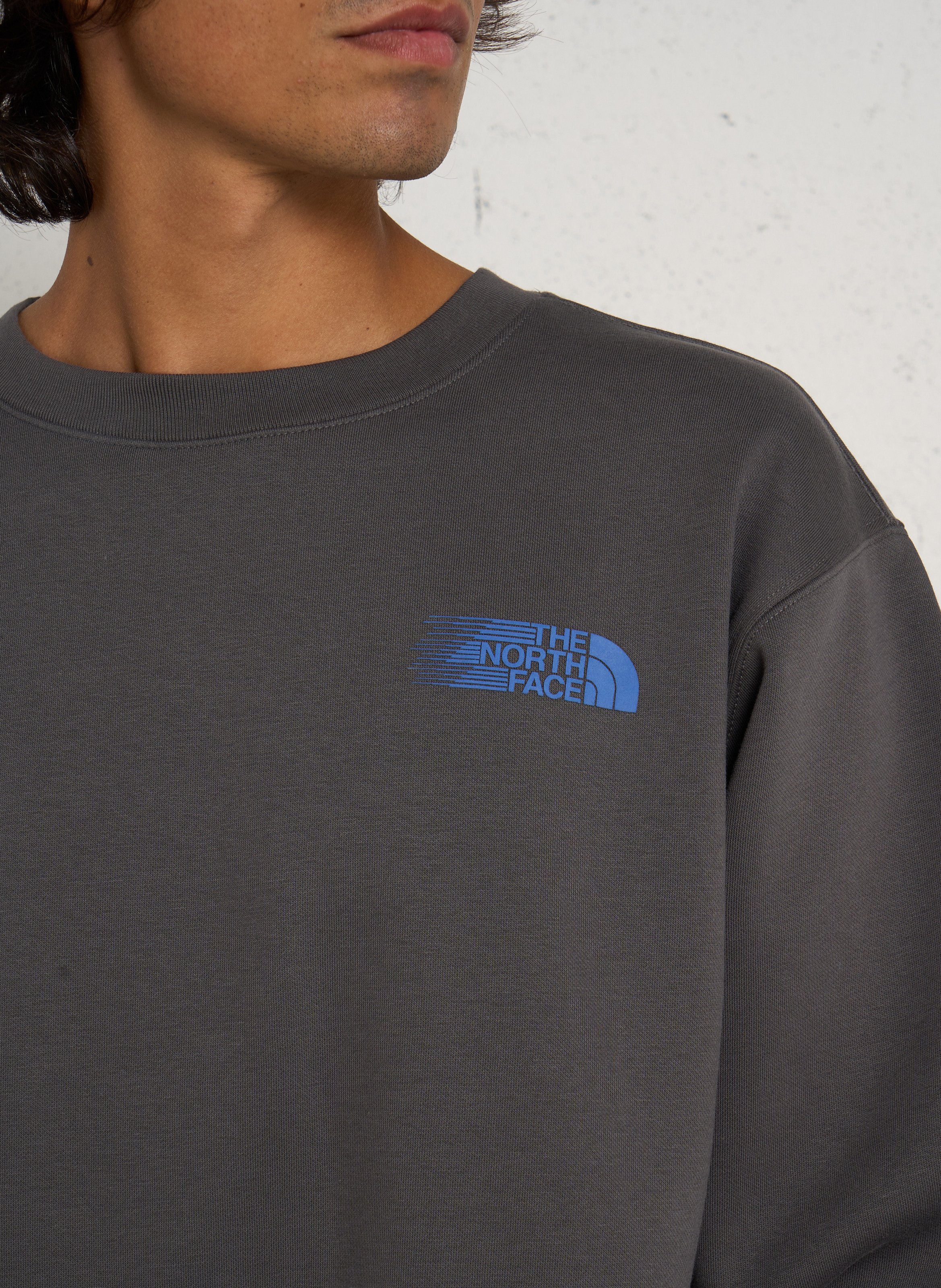 Straight round neck sweatshirt with screen print in blended cotton THE NORTH FACE Grey