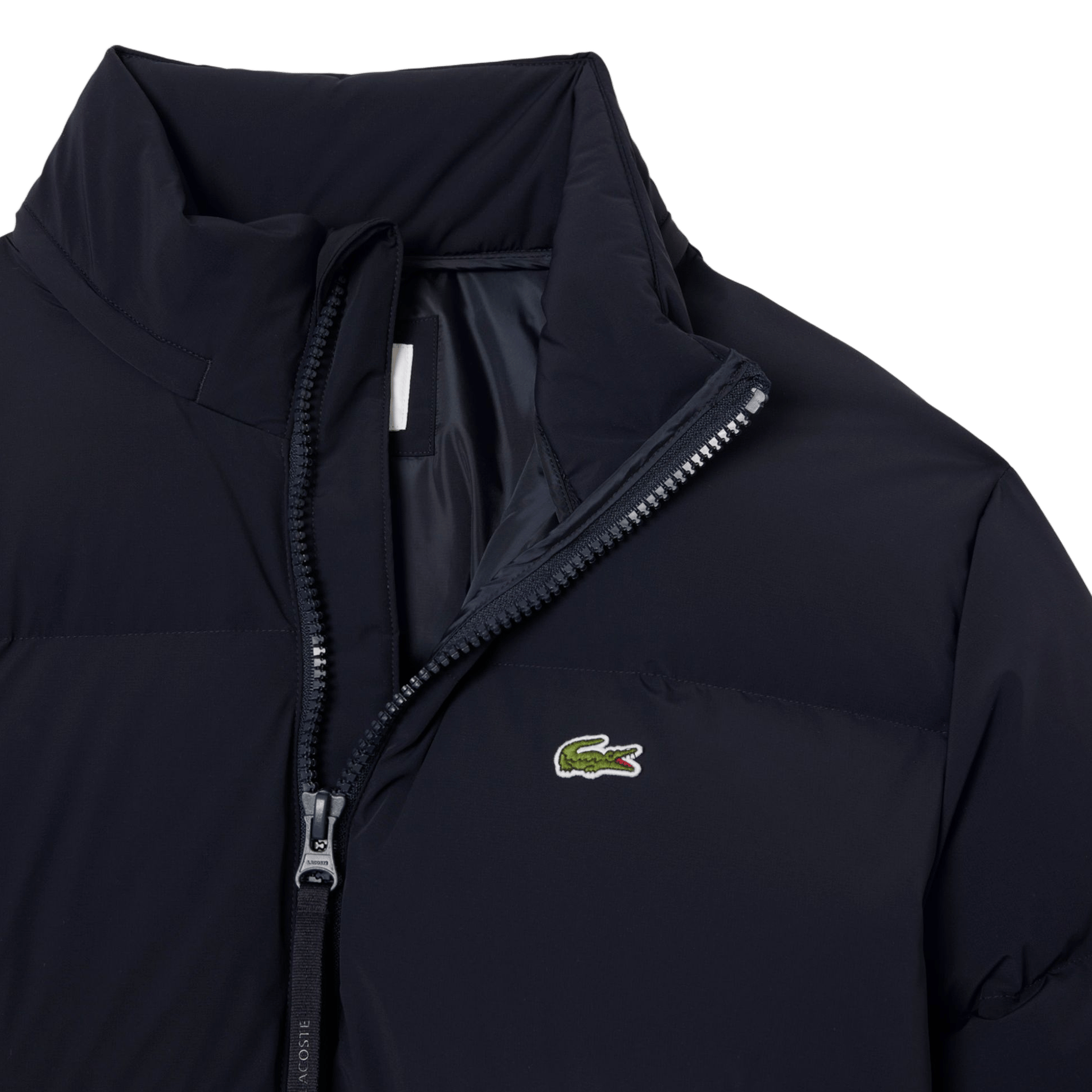 Straight quilted jacket with high collar and water-repellent hood LACOSTE Blue