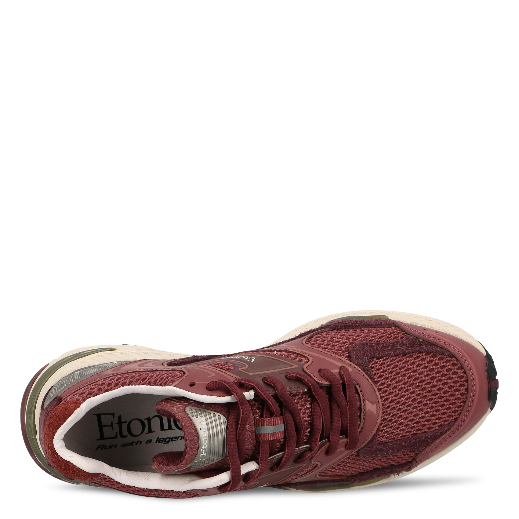 Baskets basses bi-matière  ETONIC Marron