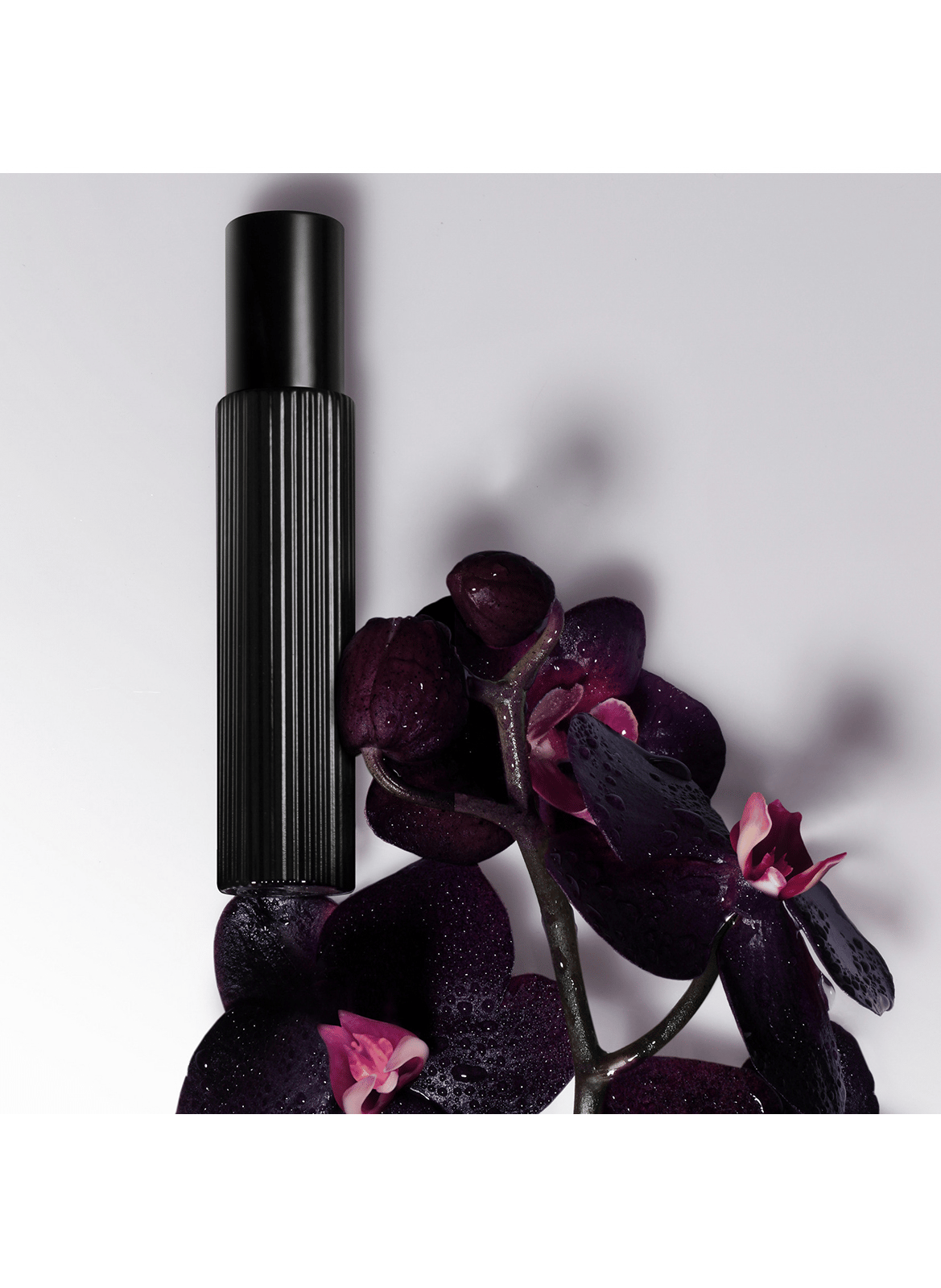 Schwarze Orchidee - Geschenkset Eau de Parfum TOM FORD No color