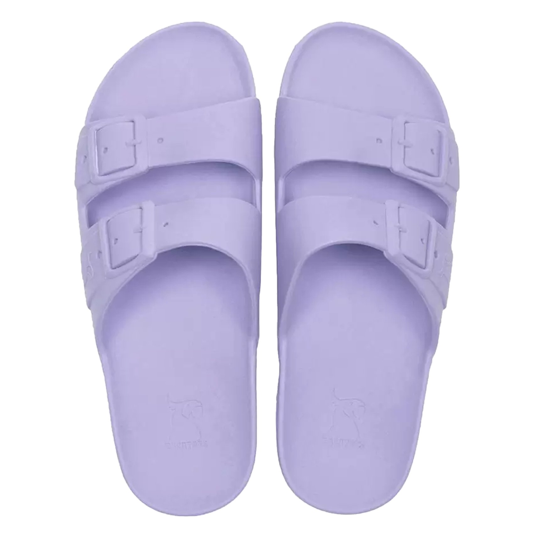 Sandales plates CACATOES DO BRASIL Violet