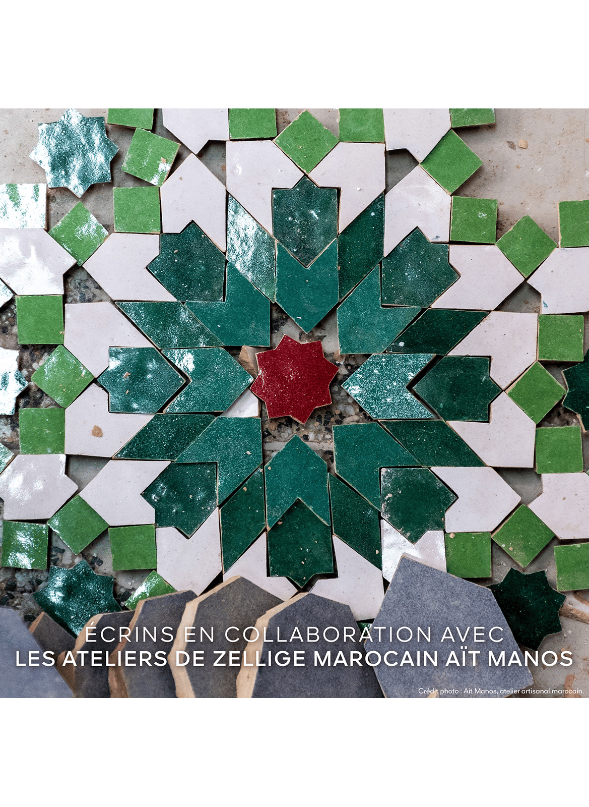 TERRACOTTA GOLDEN DUNES The Radiant Natural Glow Powder Limited Edition 03 green agafay - moyen doré