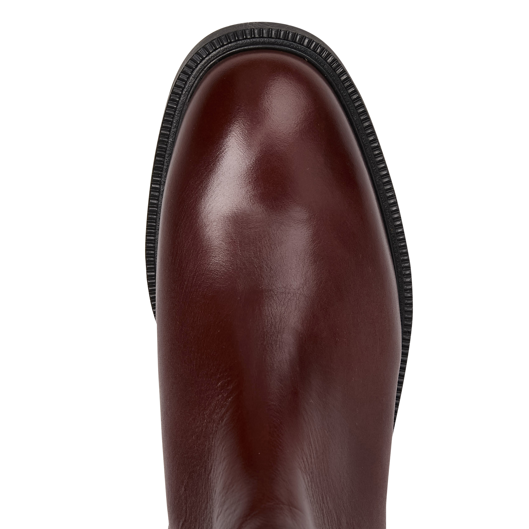 Effen leren enkellaarzen met textuur MAISON TOUFET Bruin