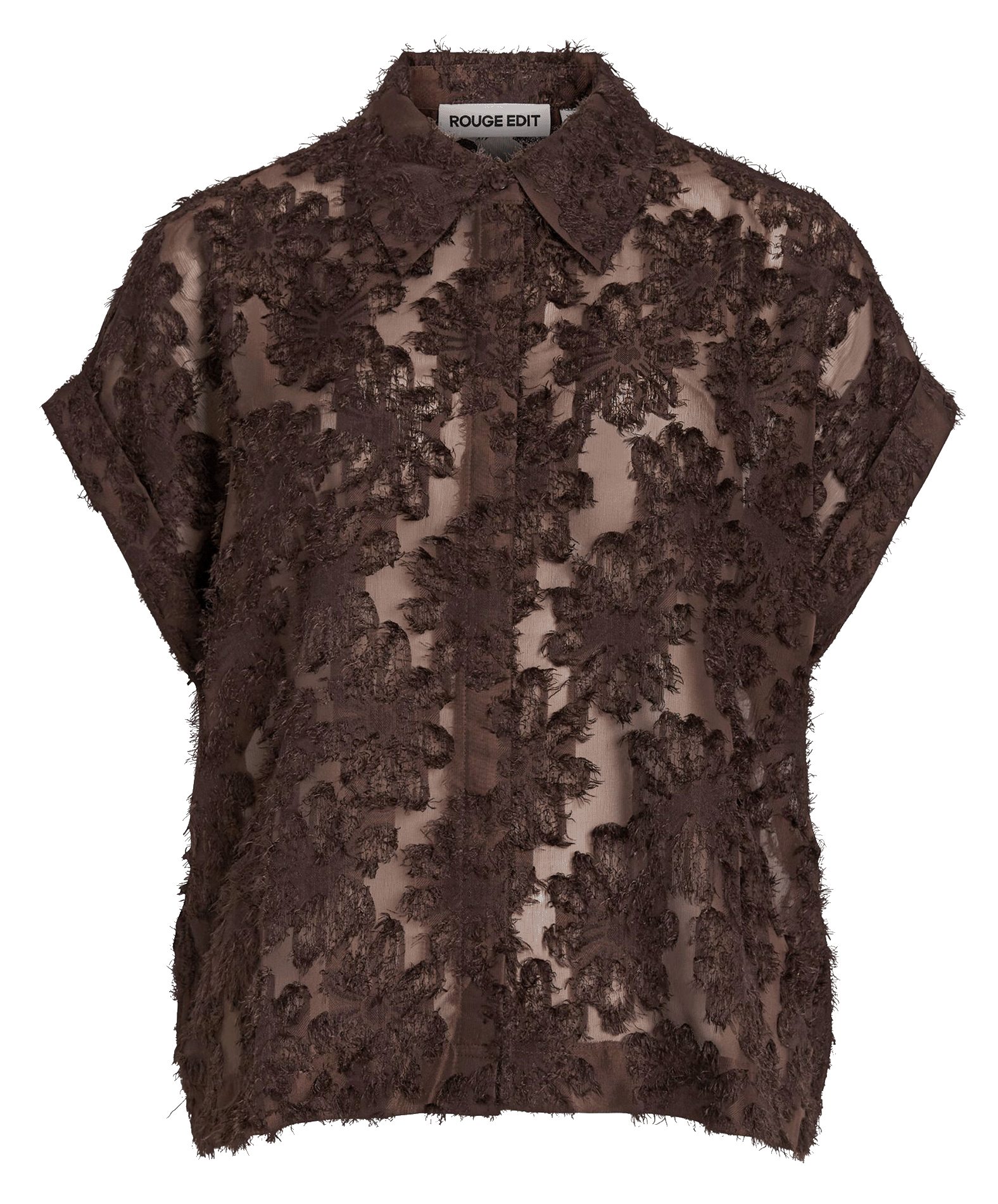 Straight classic collar lace shirt | Brown ROUGE EDIT Women