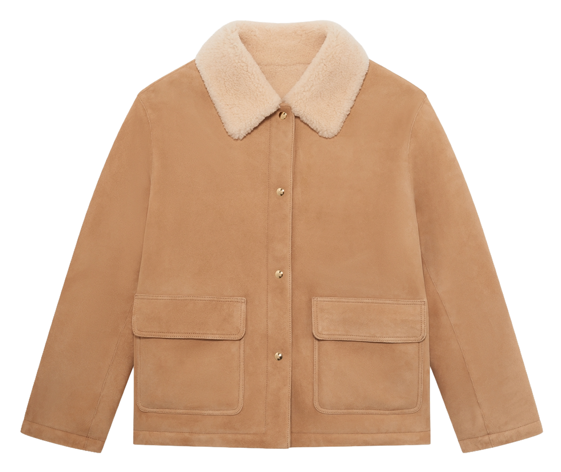 Lambskin leather jacket with classic collar PABLO Brown