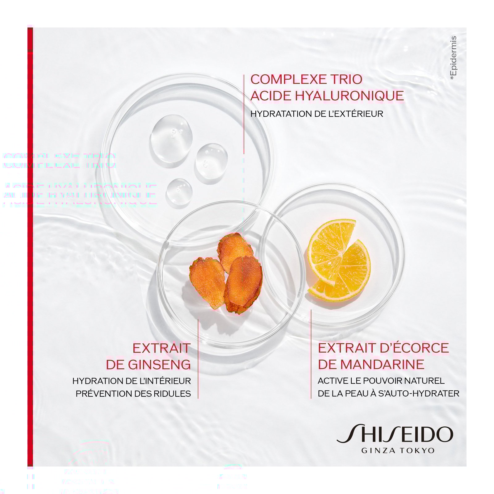 Hydrating Day Cream SPF20 SHISEIDO No color