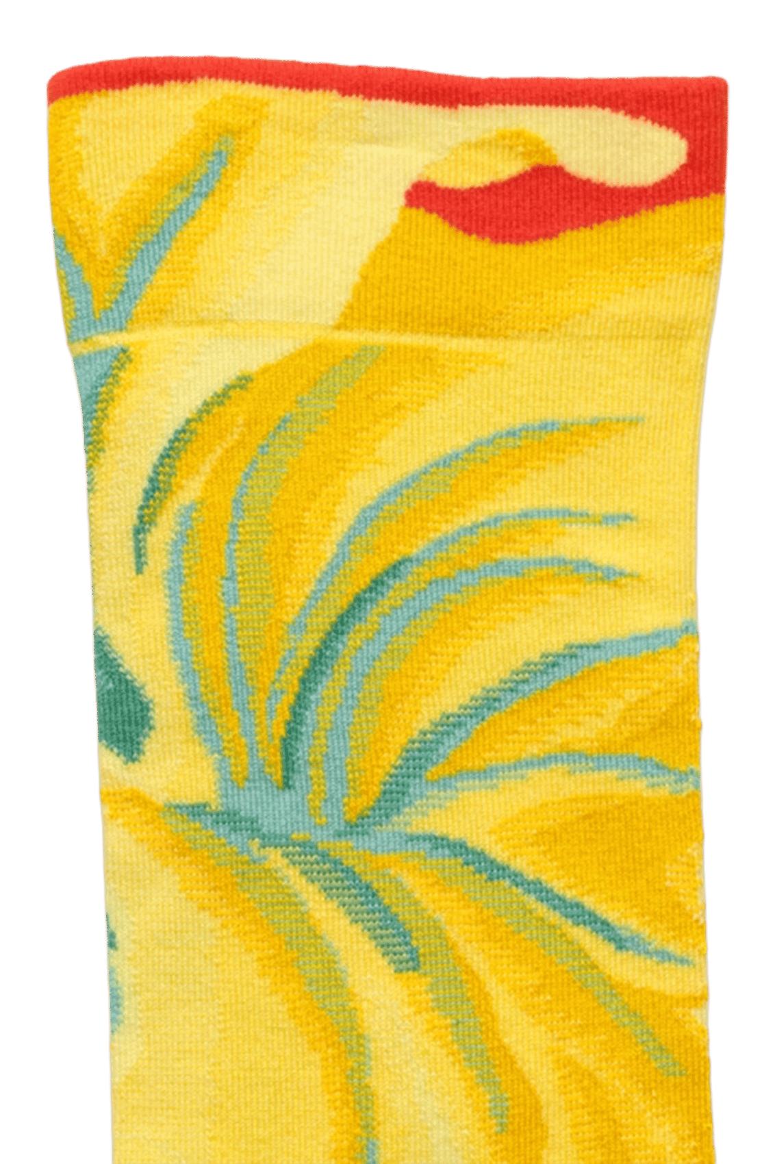 Chaussettes en coton mélangé imprimé BONNE MAISON Multicolore