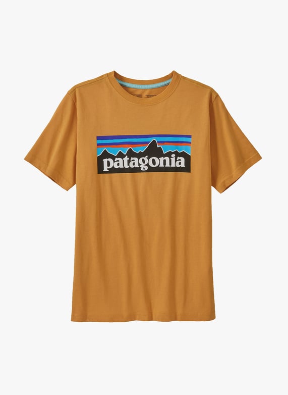 Camiseta patagonia amarilla hotsell