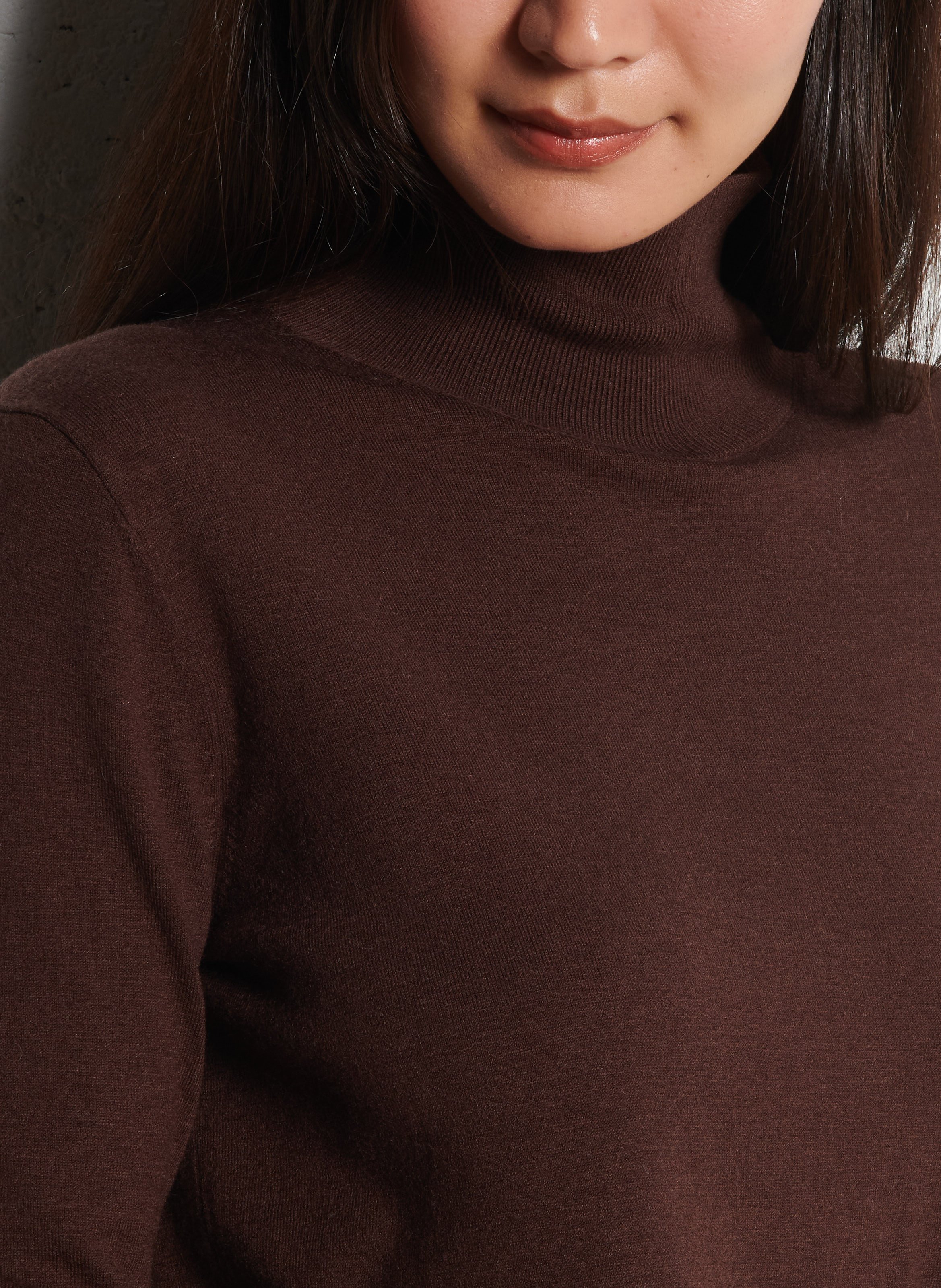 Pull droit col montant MAX MARA WEEK END Marron