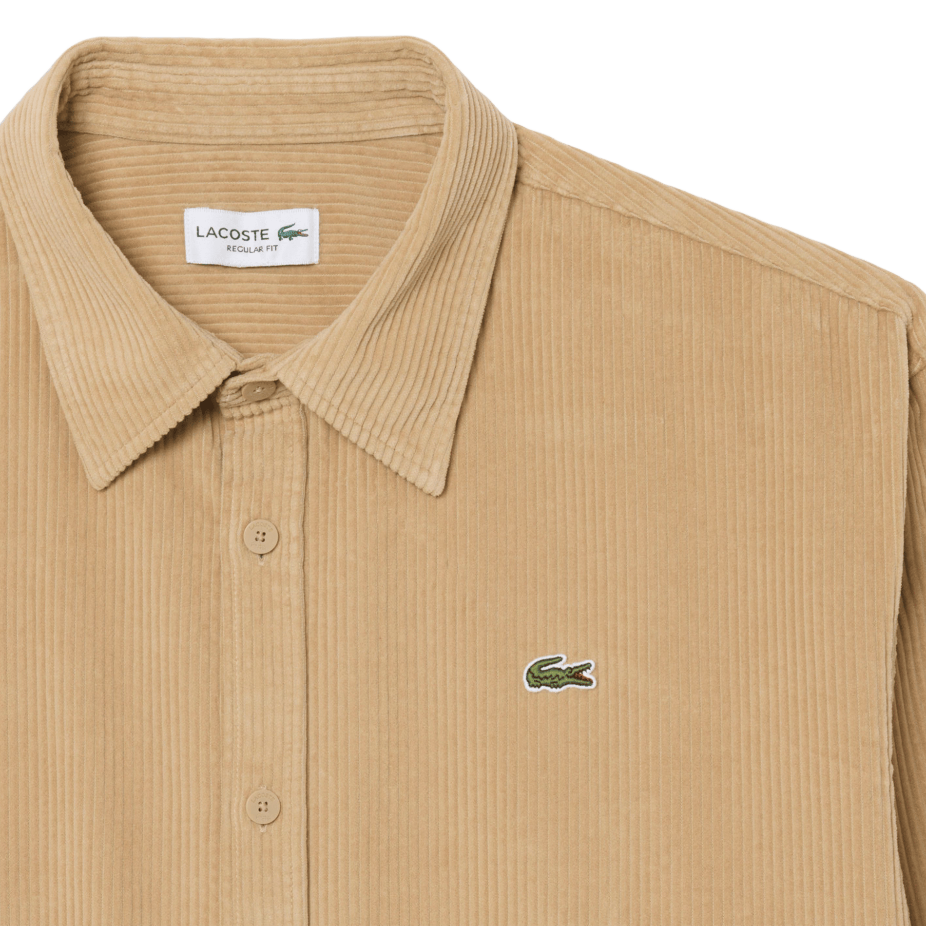 Gerade geschnittenes Hemd mit klassischem Kragen aus Cordstoff aus Baumwolle. LACOSTE Beige