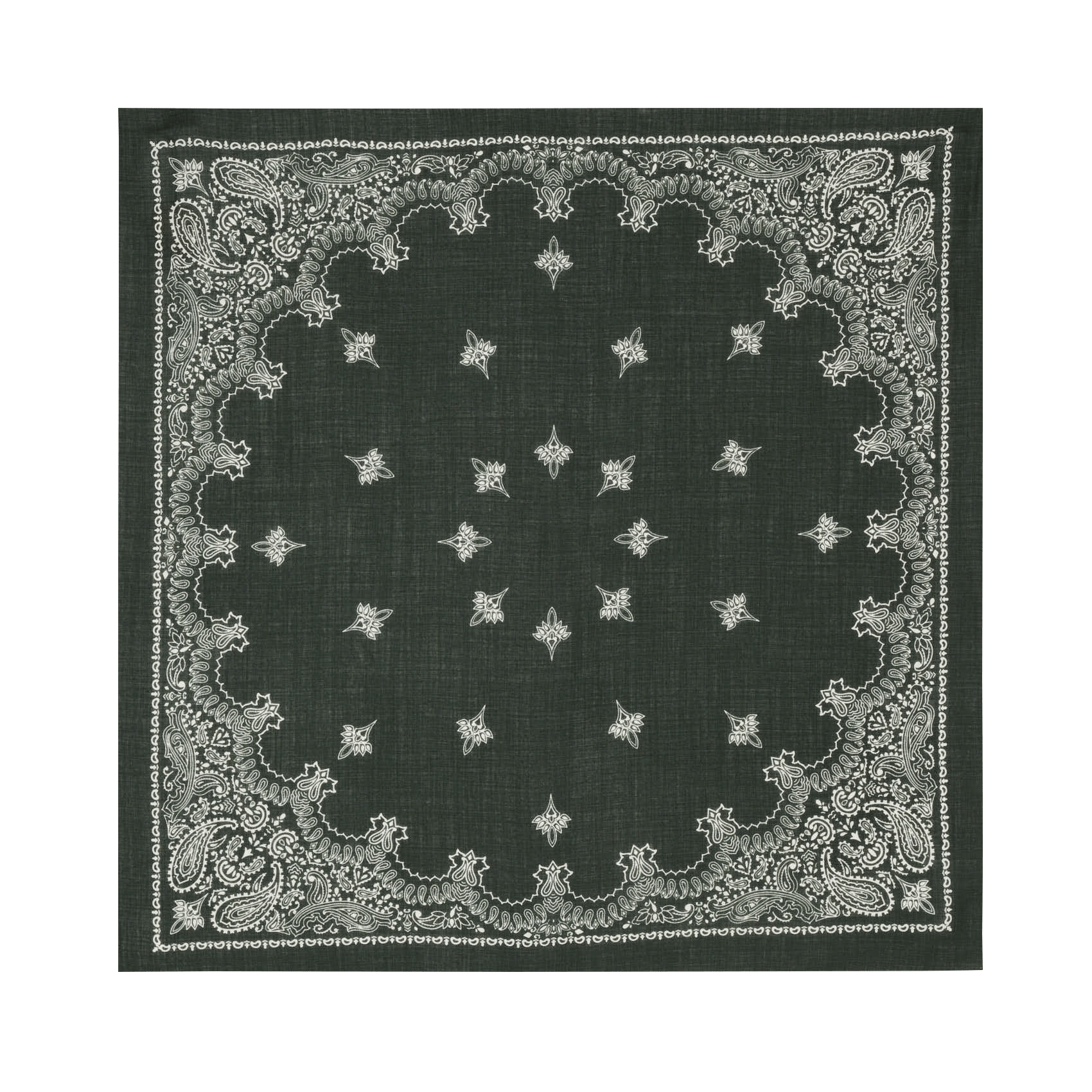 Foulard imprimé en laine DESTIN Vert