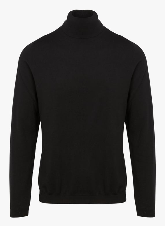Rollkragenpullover aus wolle, regular fit Noir Au printemps paris