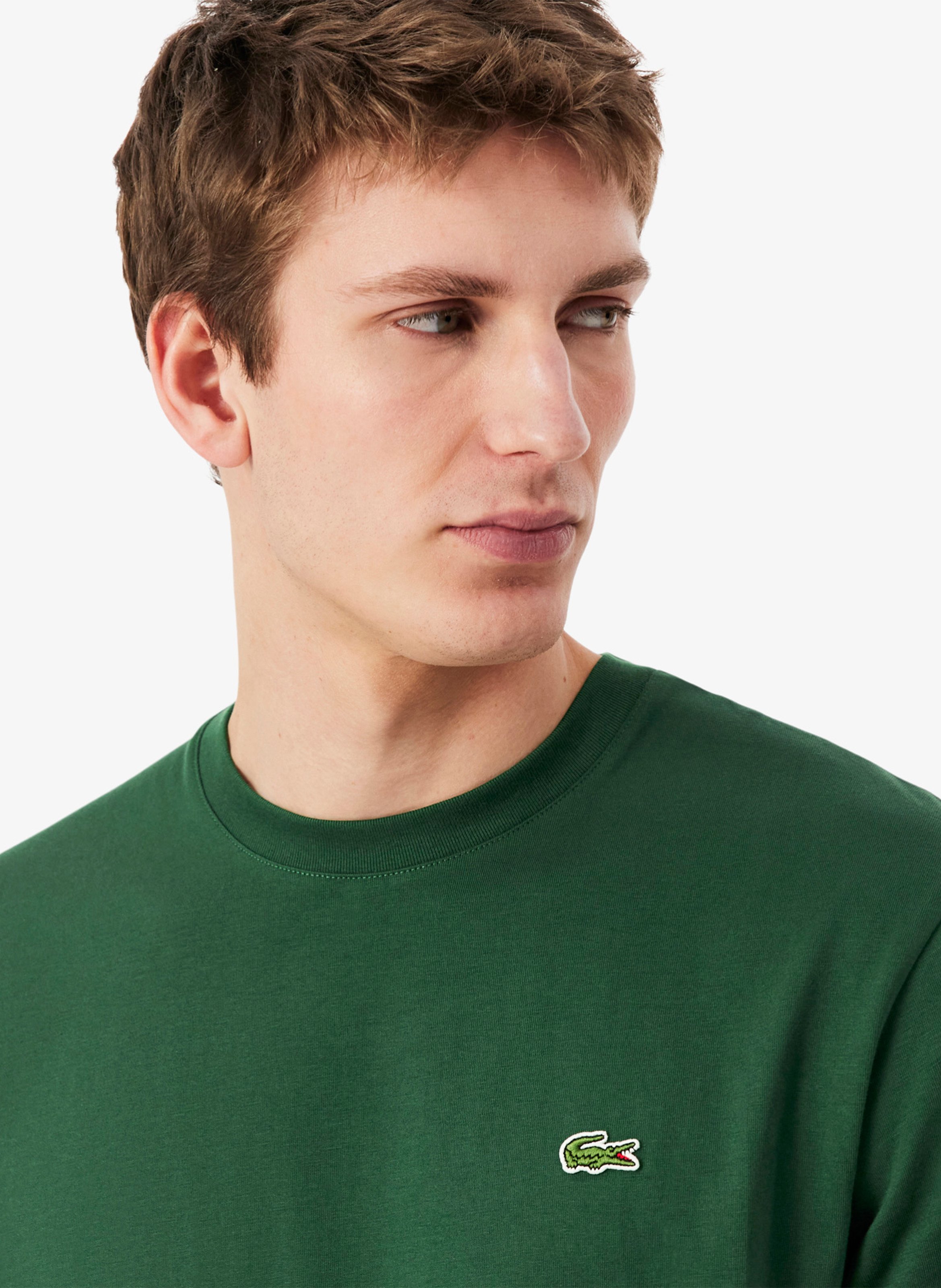 Einfarbiges T-Shirt mit Baumwolllogo LACOSTE Grun