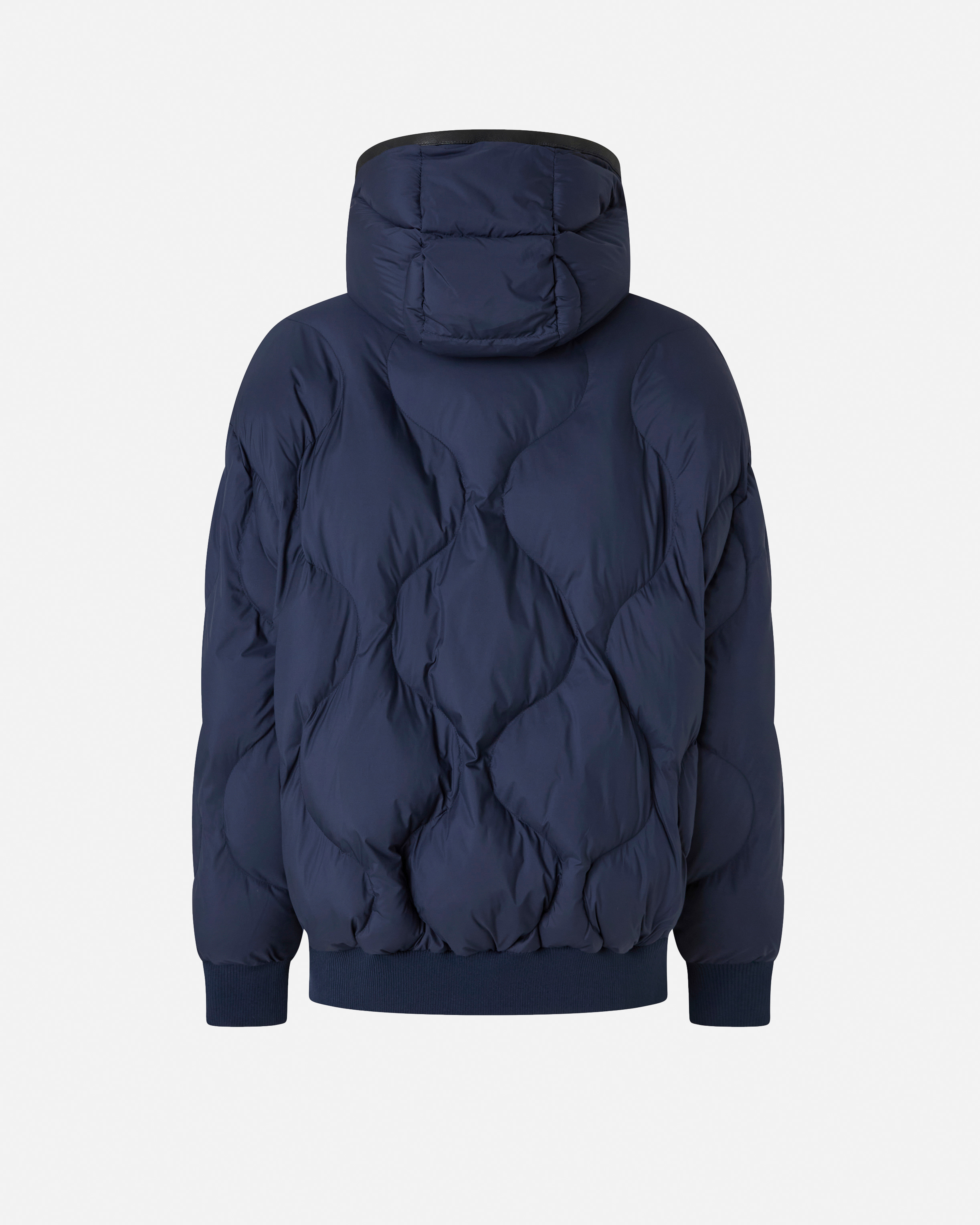 Padded Hooded Bomber PINKO Blue