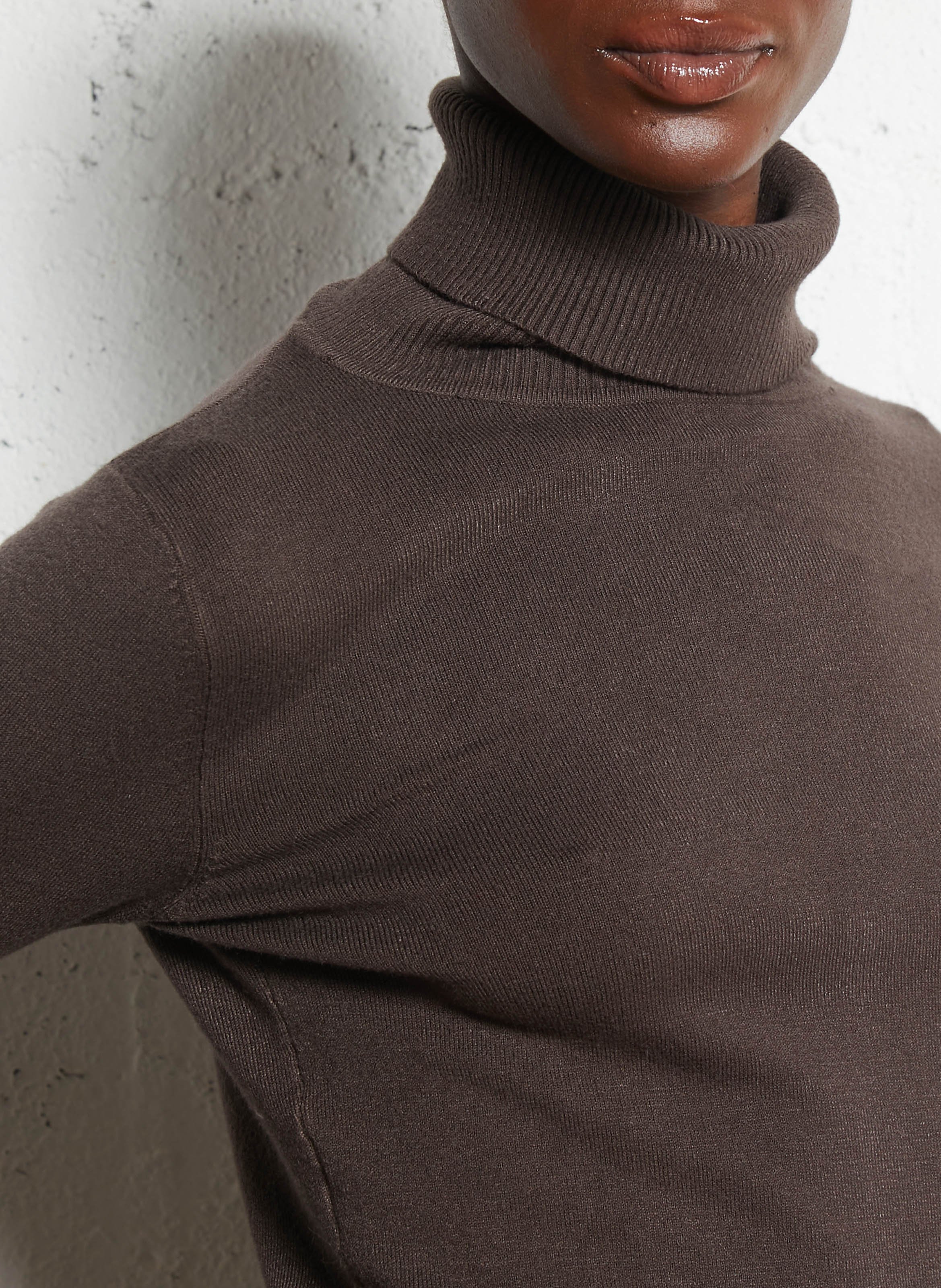 Pull moulant col roulé  Marron