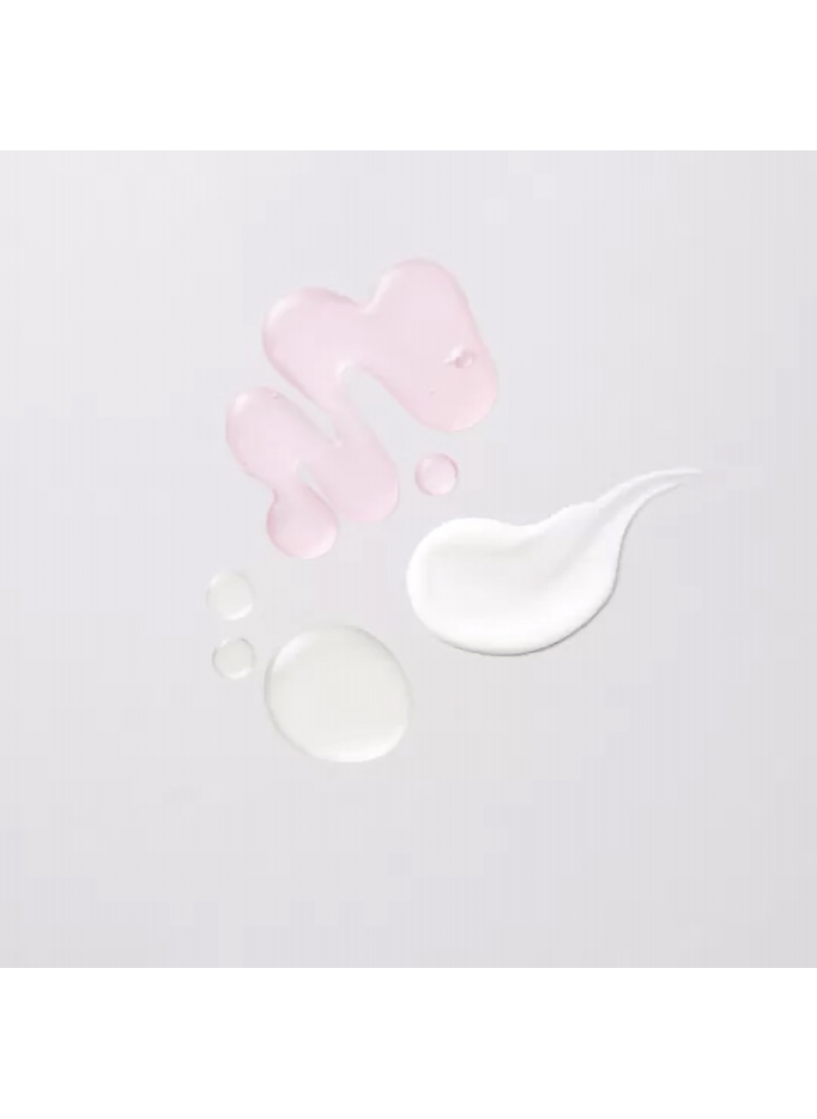 DISCOVERY KIT OF ORGANIC FERMENTED FLOWER DECOR WHAMISA No color