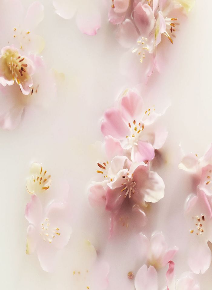 Rituals - Coffret ressourçant The Ritual of Sakura M - Blissim