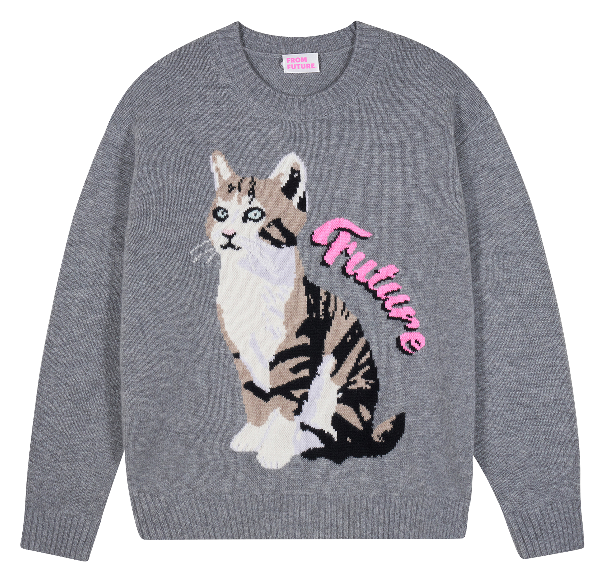 Oversized round neck cashmere sweater with print FROM FUTURE Grey