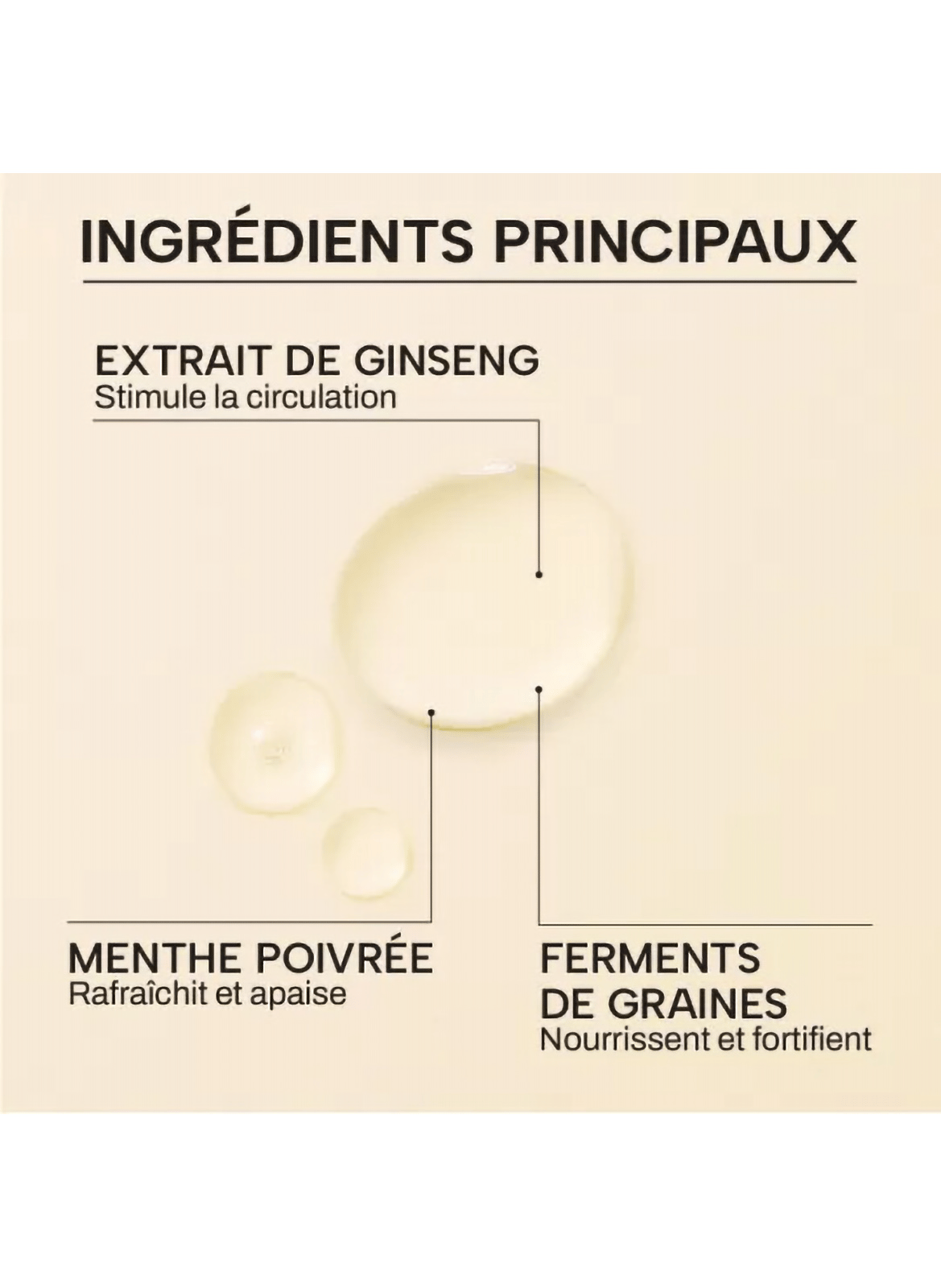 Fermented Organic Seed Scalp Tonic WHAMISA No color